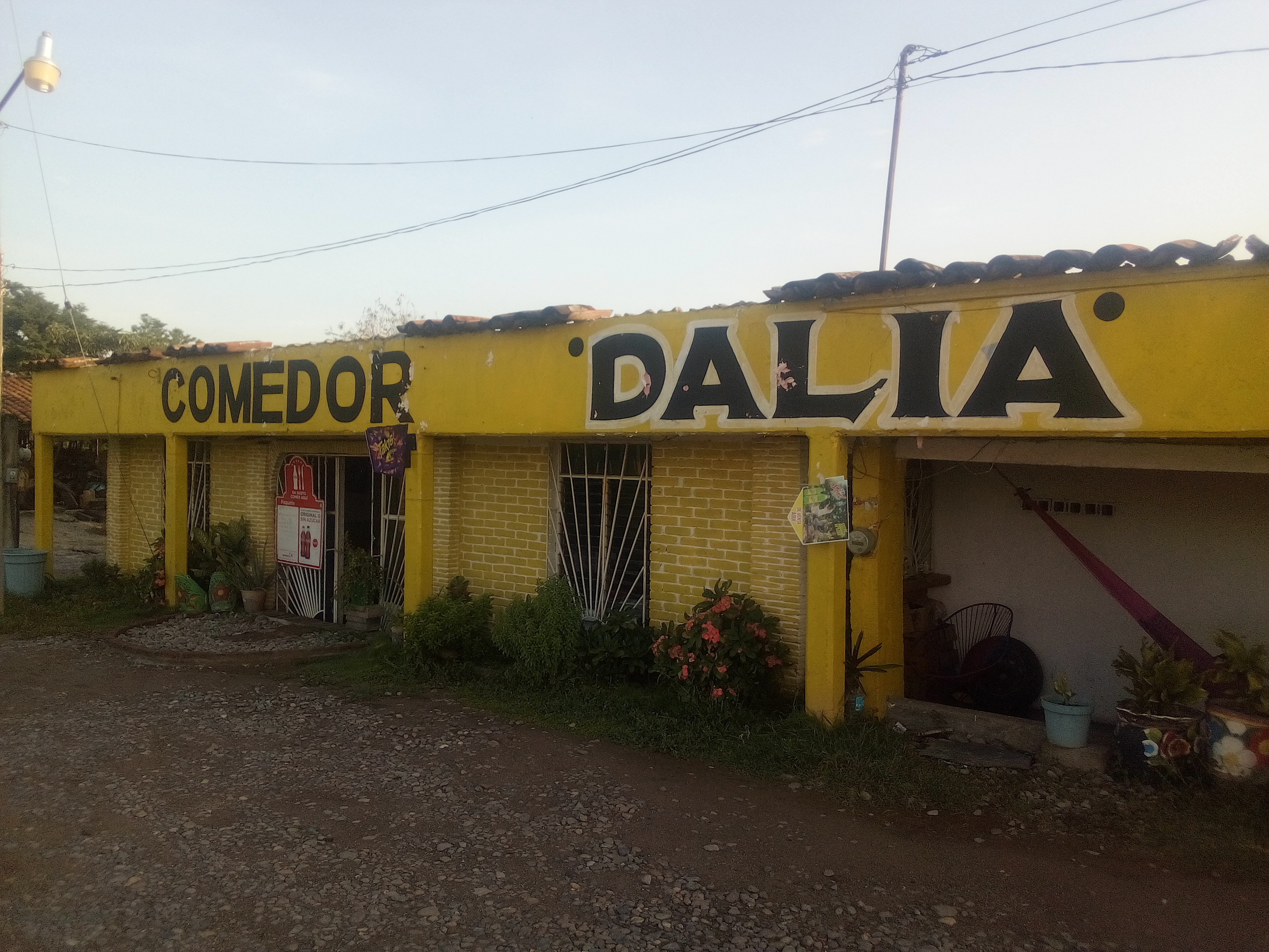 Comedor DALIA image 2