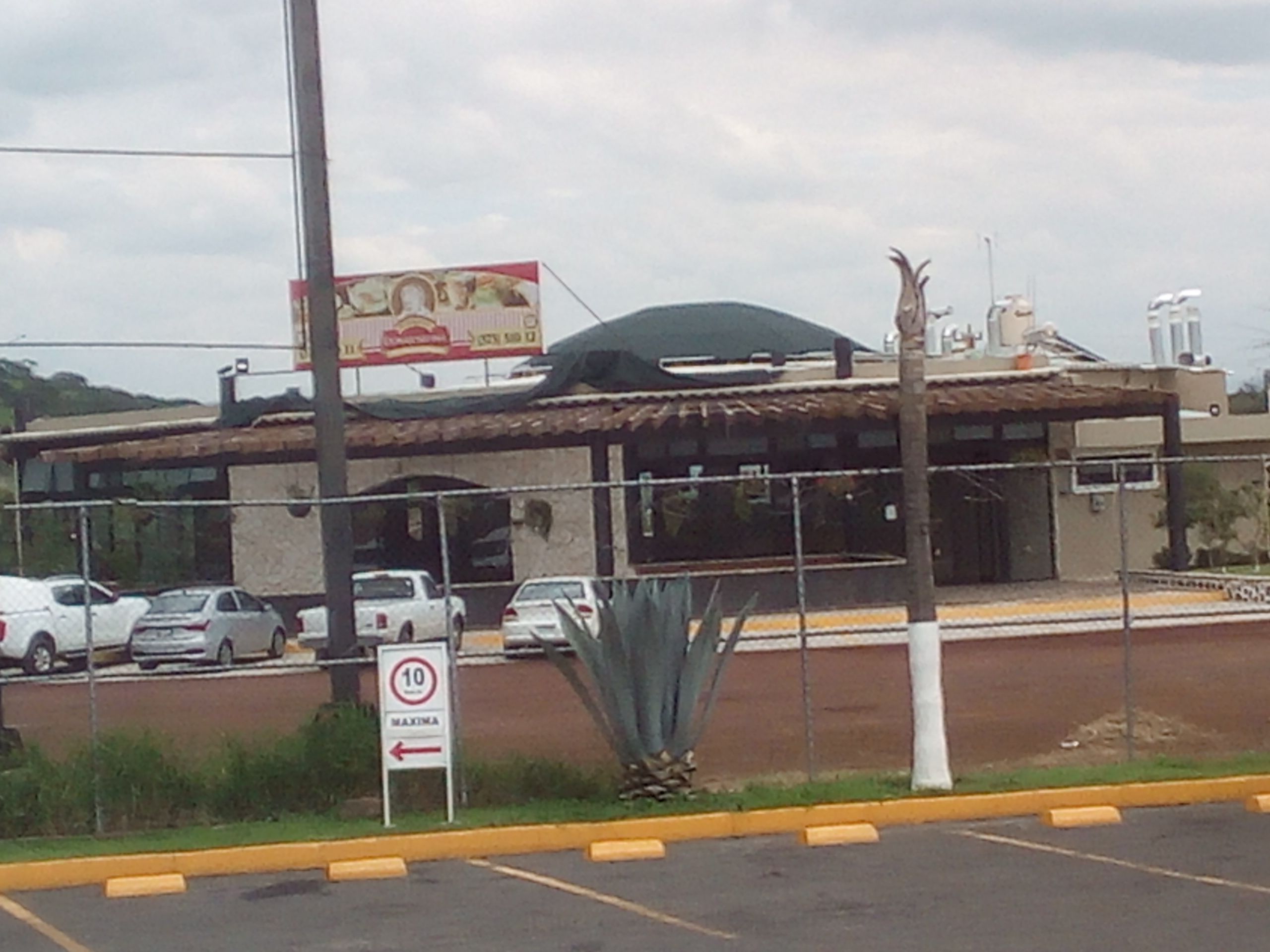 Burritas Doña Josefina image 10