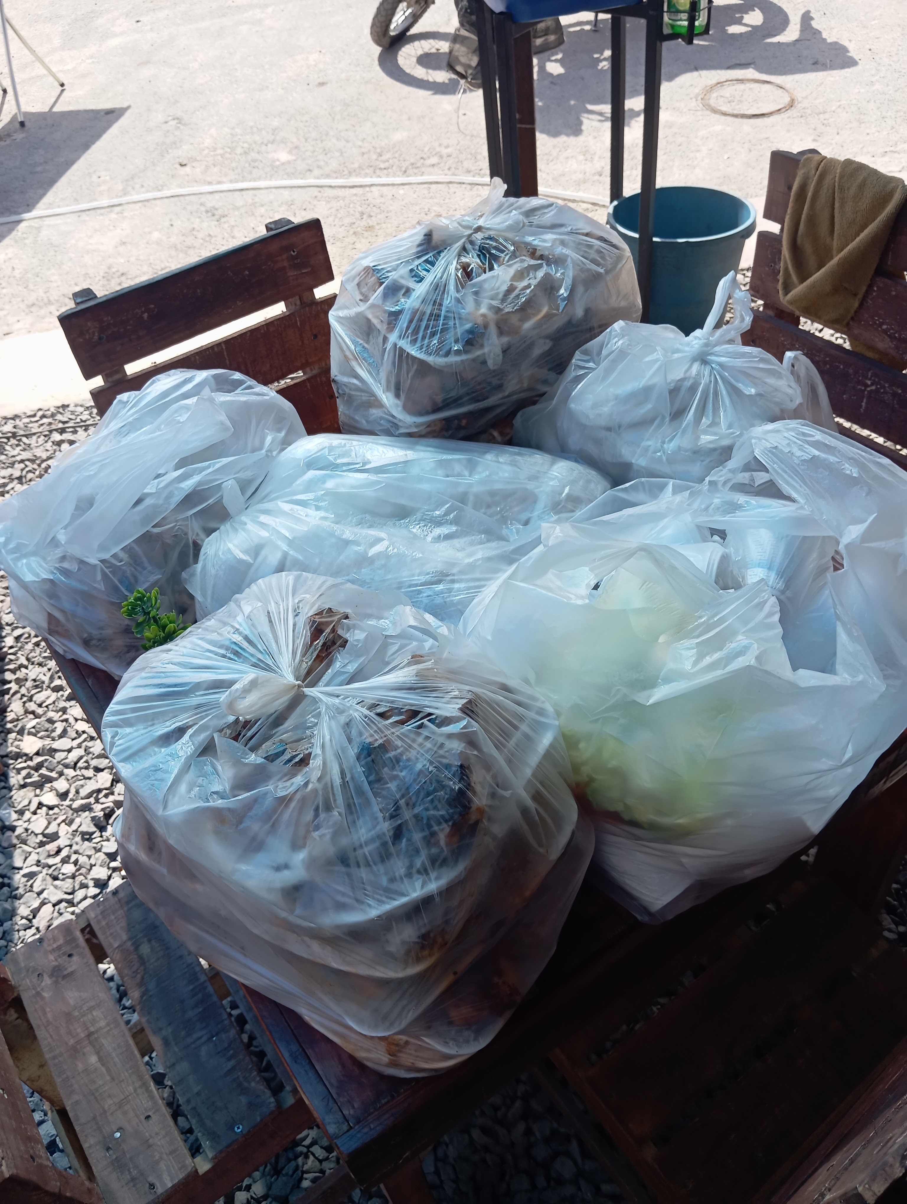 Pollos asados las plebitas image 3