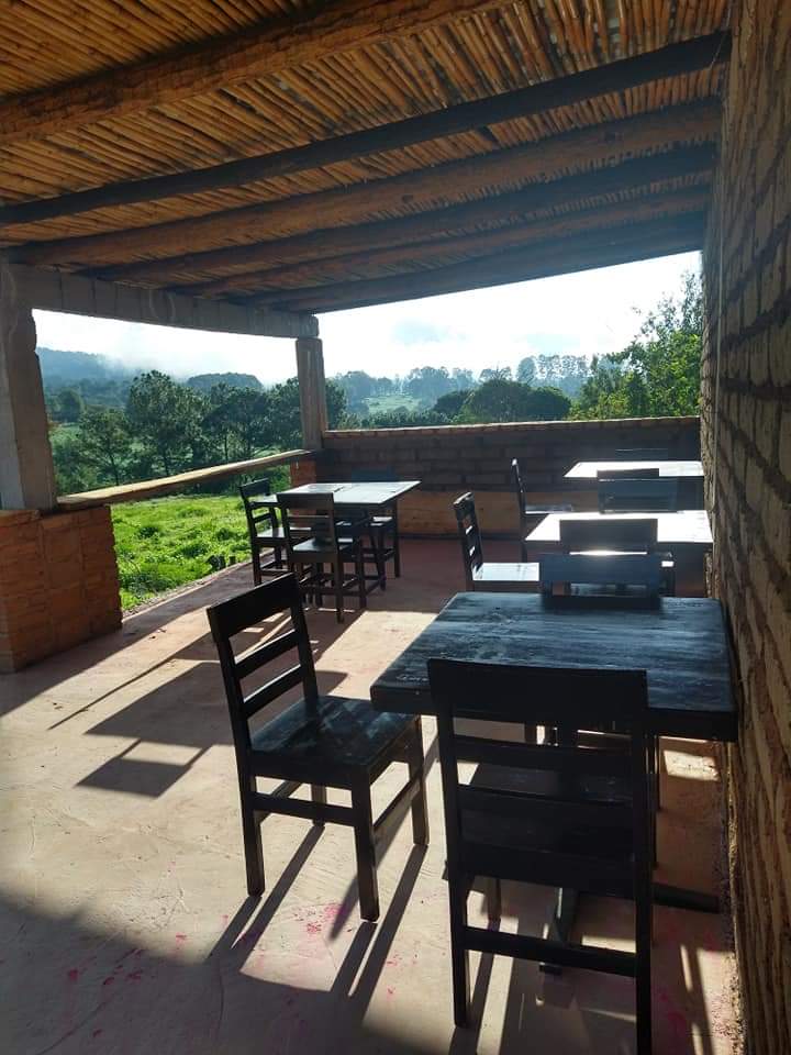 Manos de viento image 9