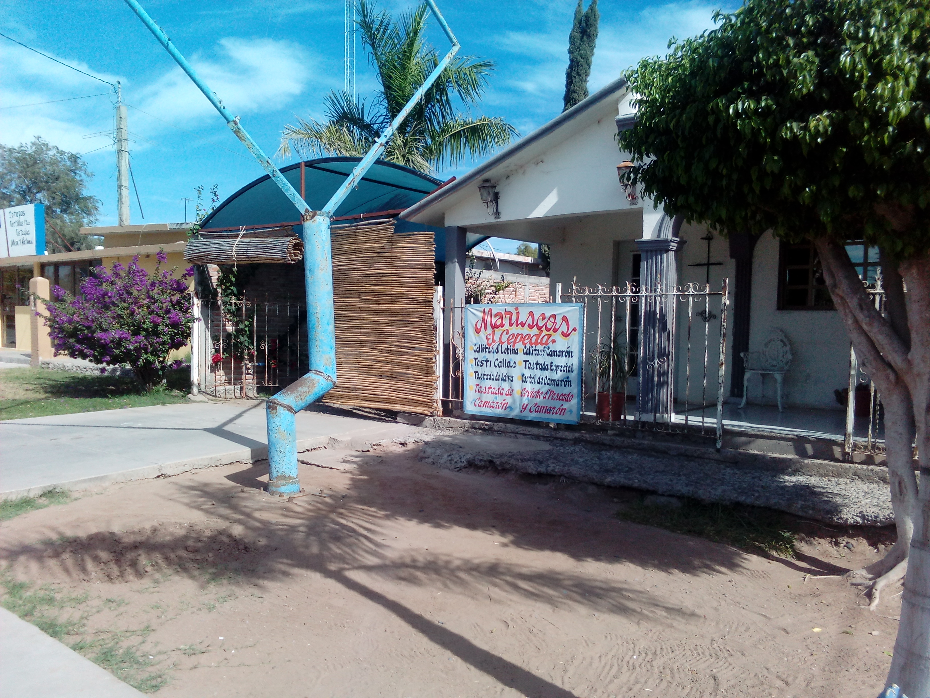 callitos cepeda image 2