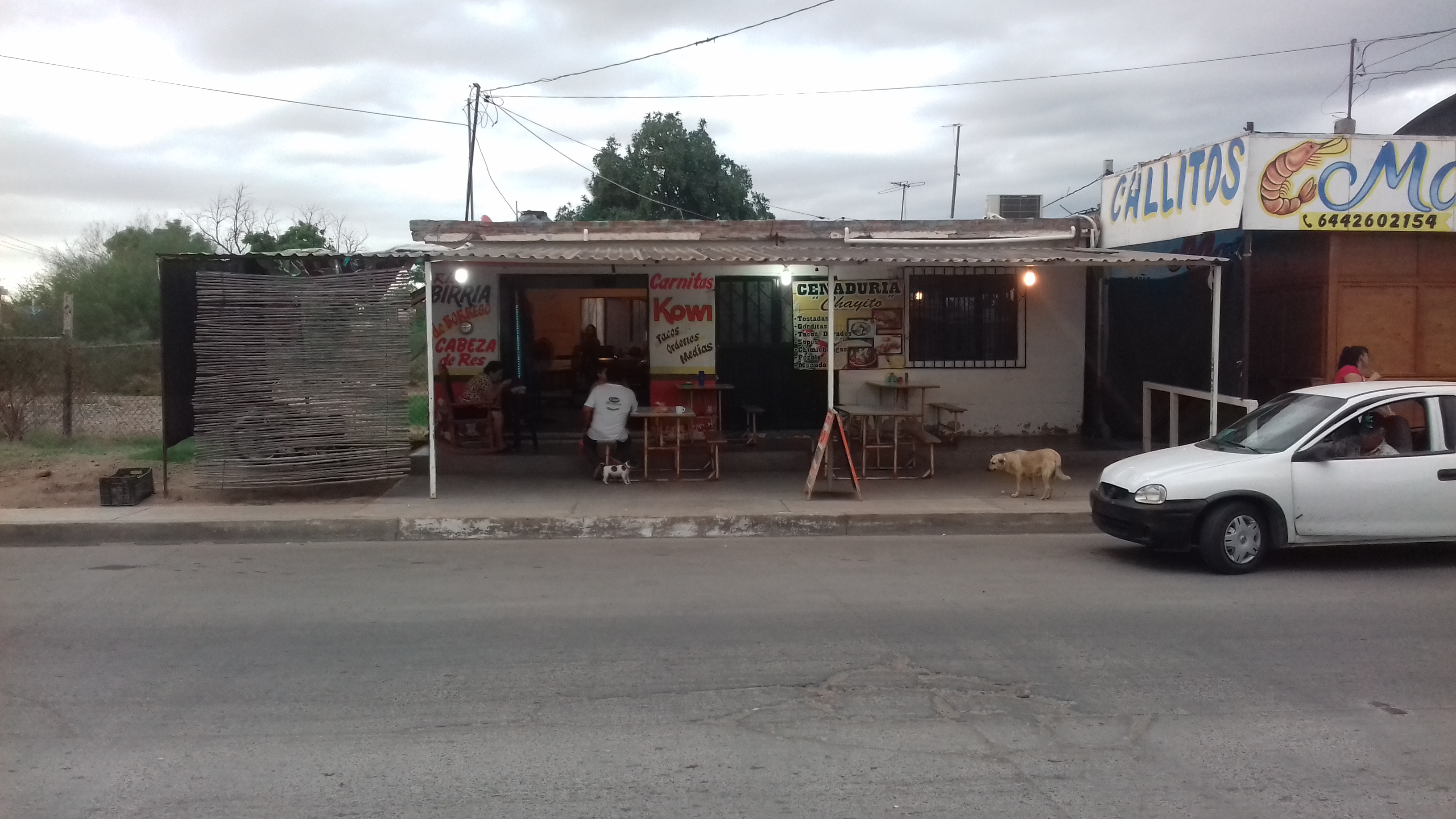 Carnitas Kowi image 6