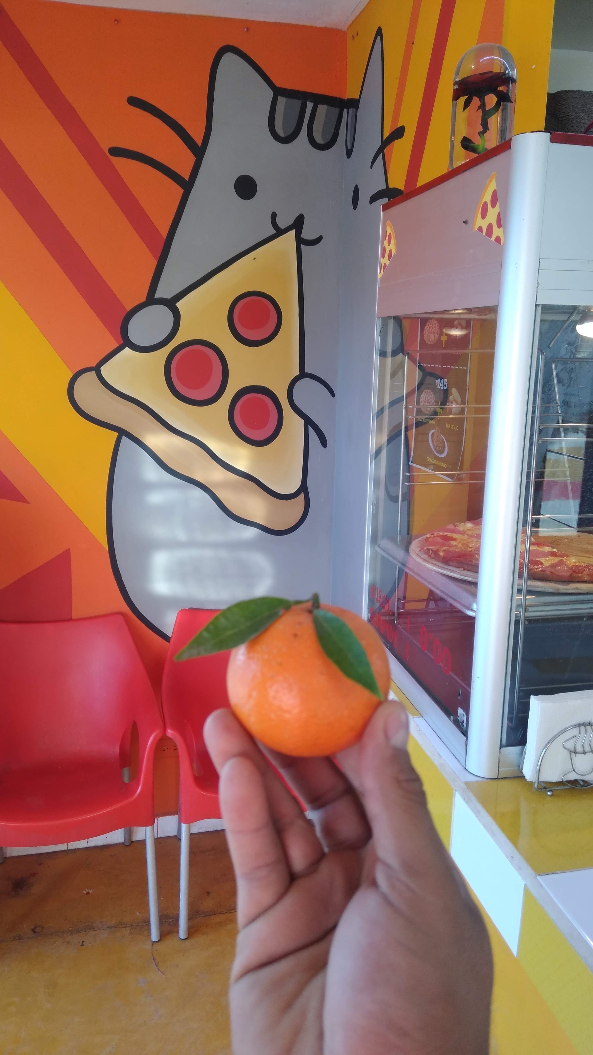 Pollo Feliz Villa Juarez image 7