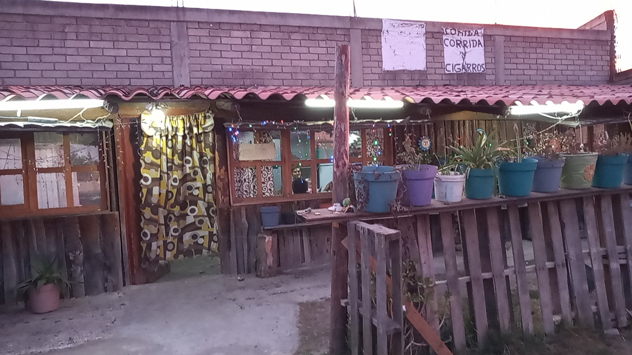 Fonda Sharid image 1