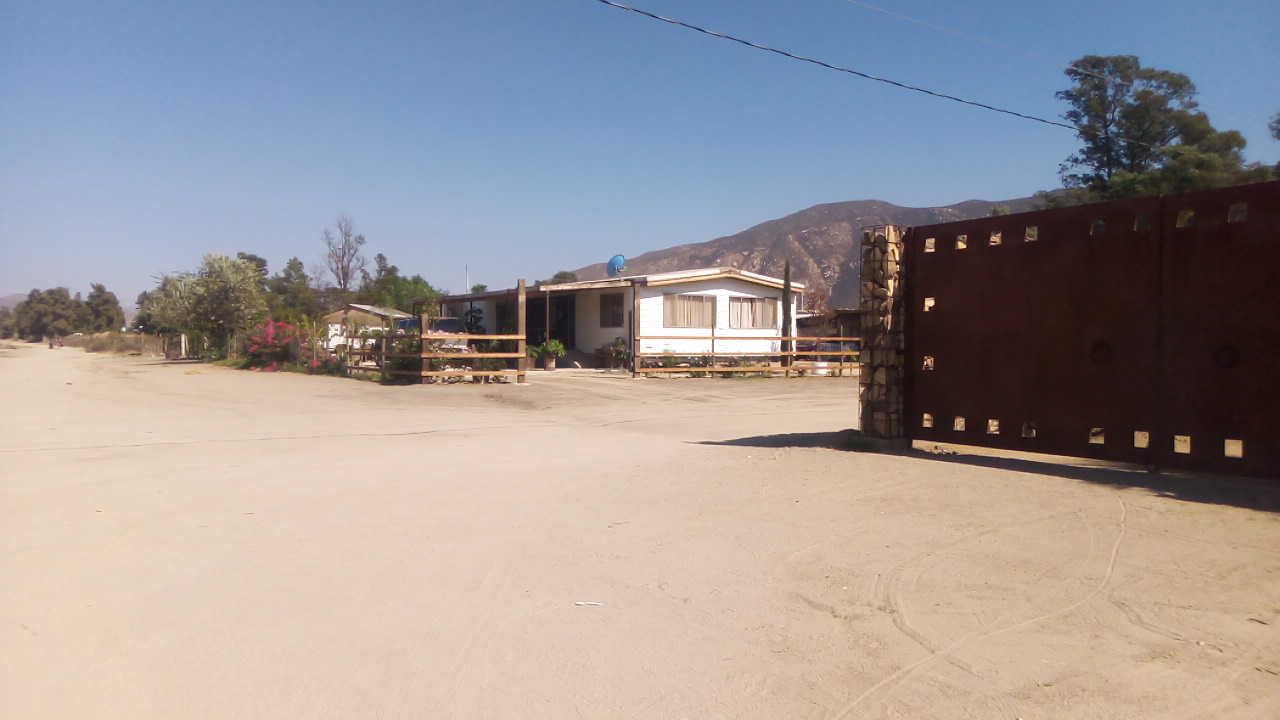 Las Güeritas: Quail & rabbit image 3