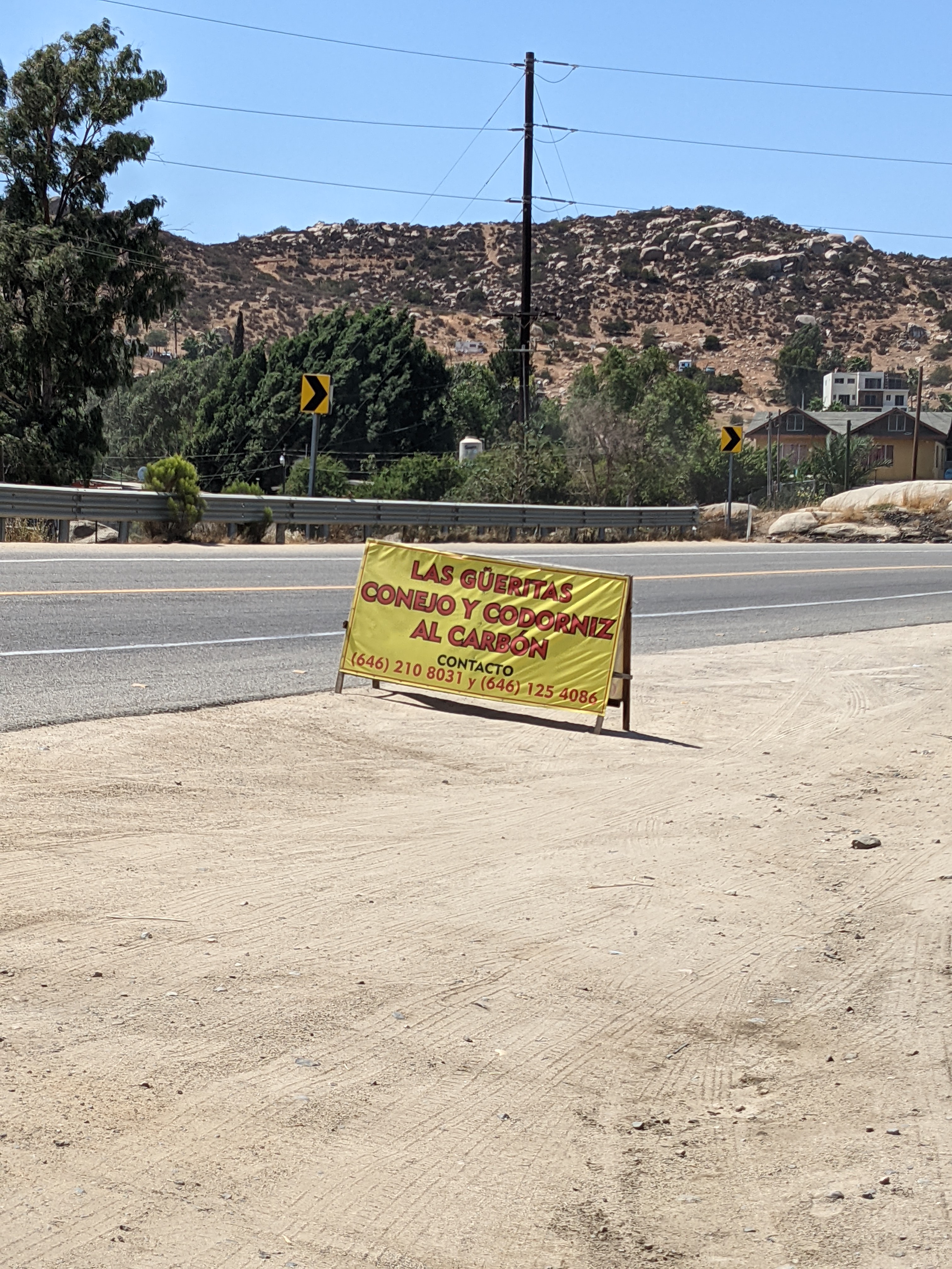 Las Güeritas: Quail & rabbit image 7