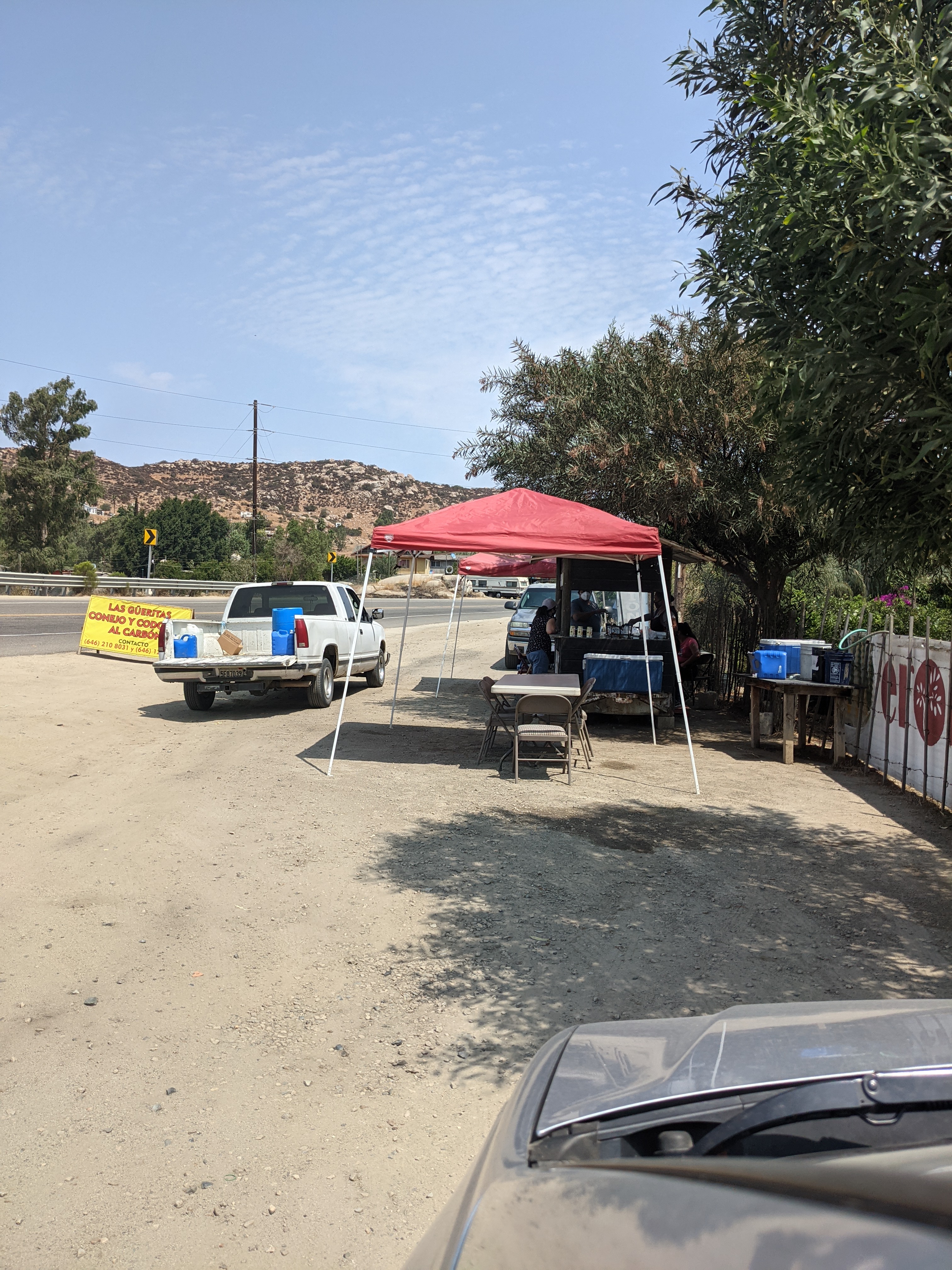 Las Güeritas: Quail & rabbit image 10