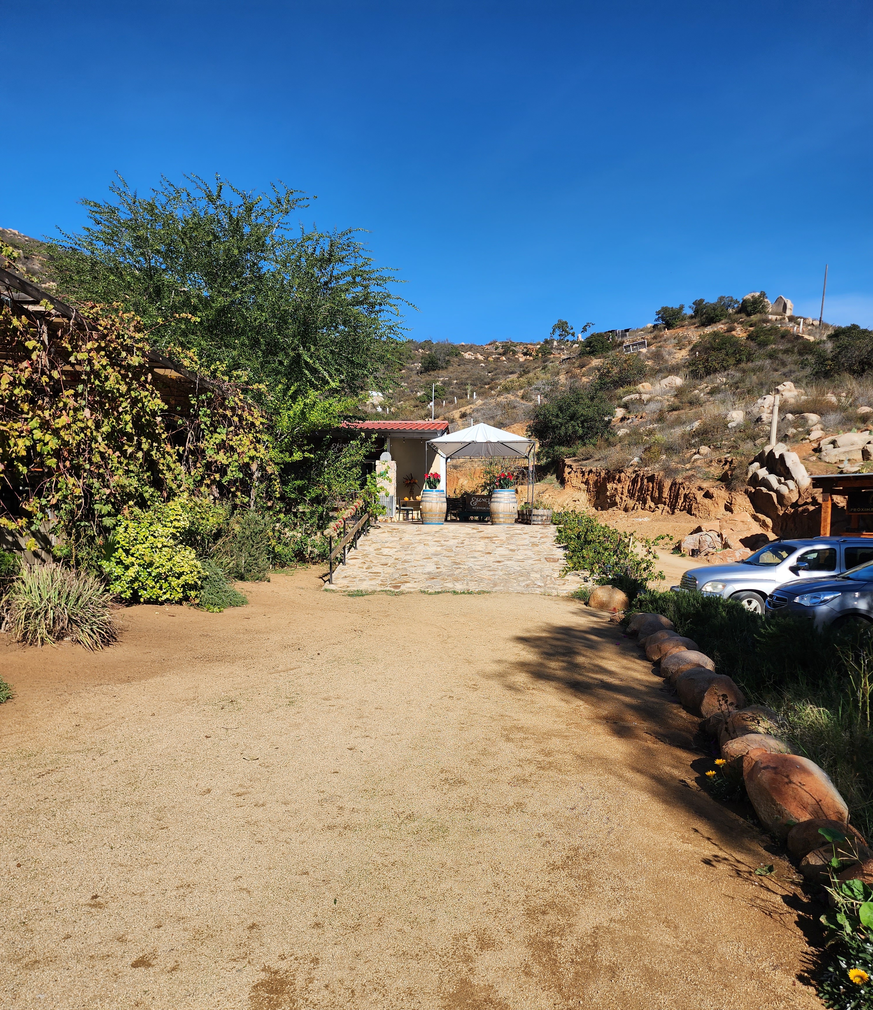 Esencia del Valle image 6