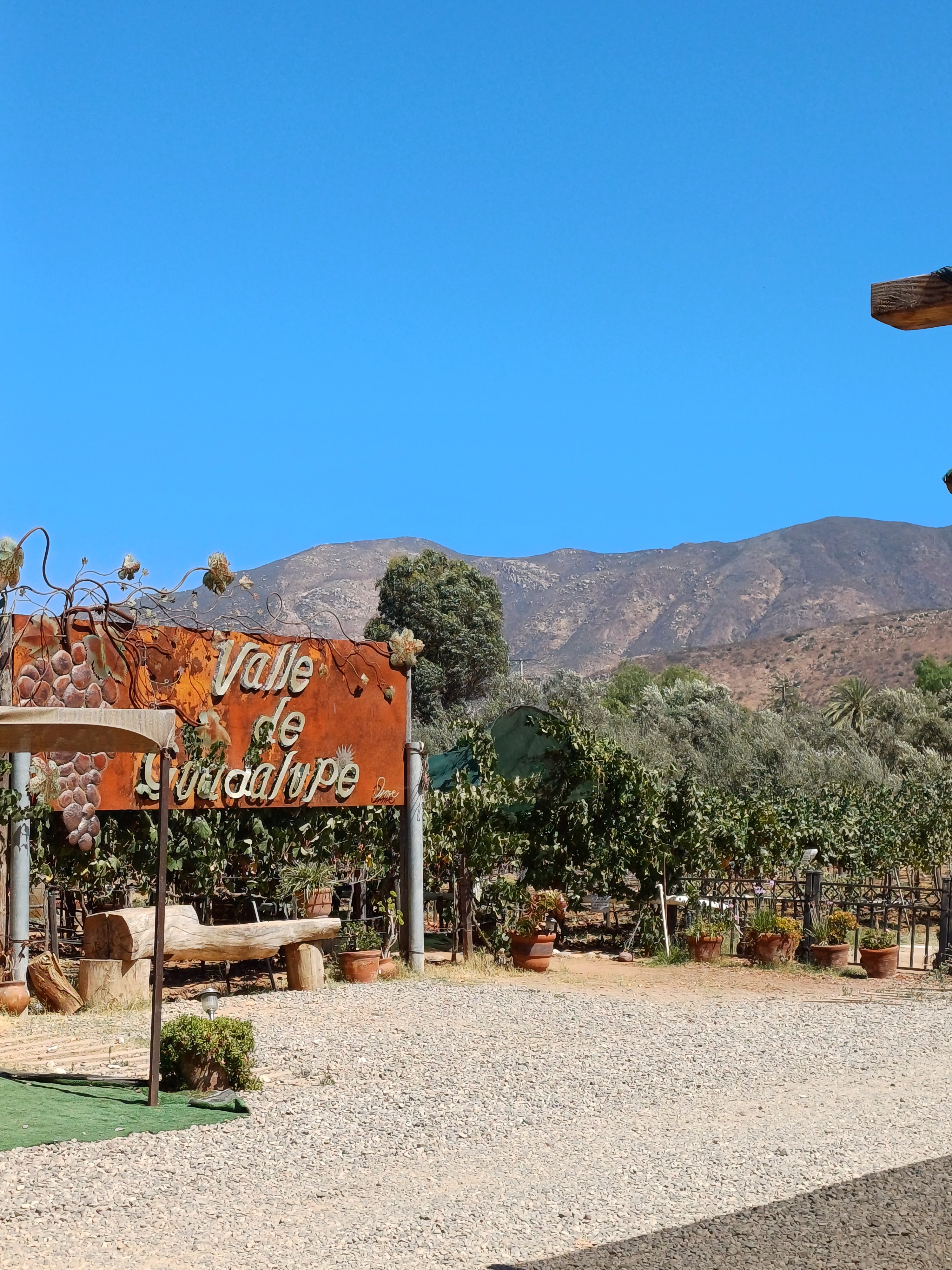 Midnight Sun Winery and Restaurant image 6