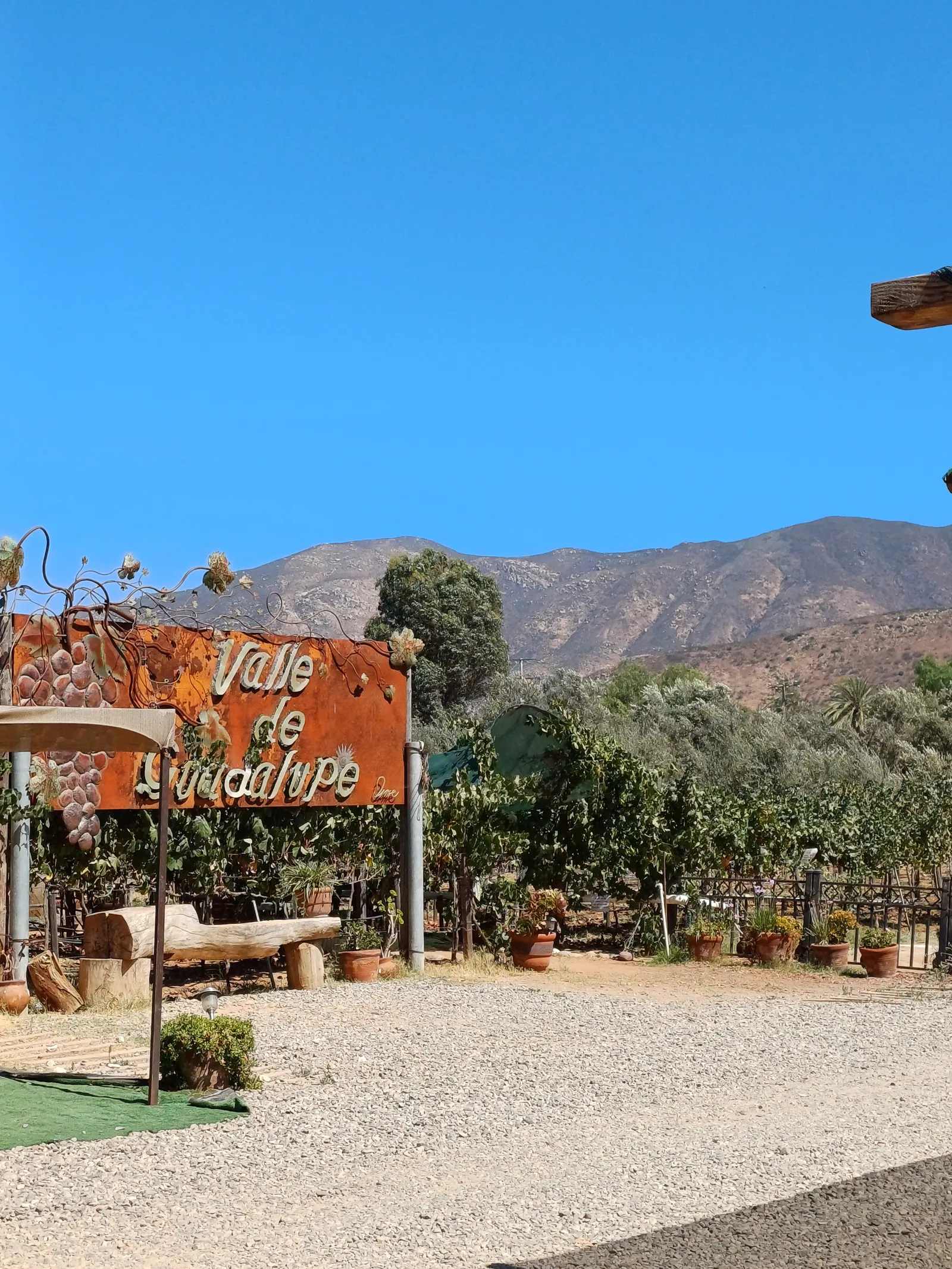 Midnight Sun Winery and Restaurant image 6