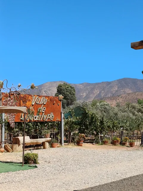 Midnight Sun Winery and Restaurant image 6