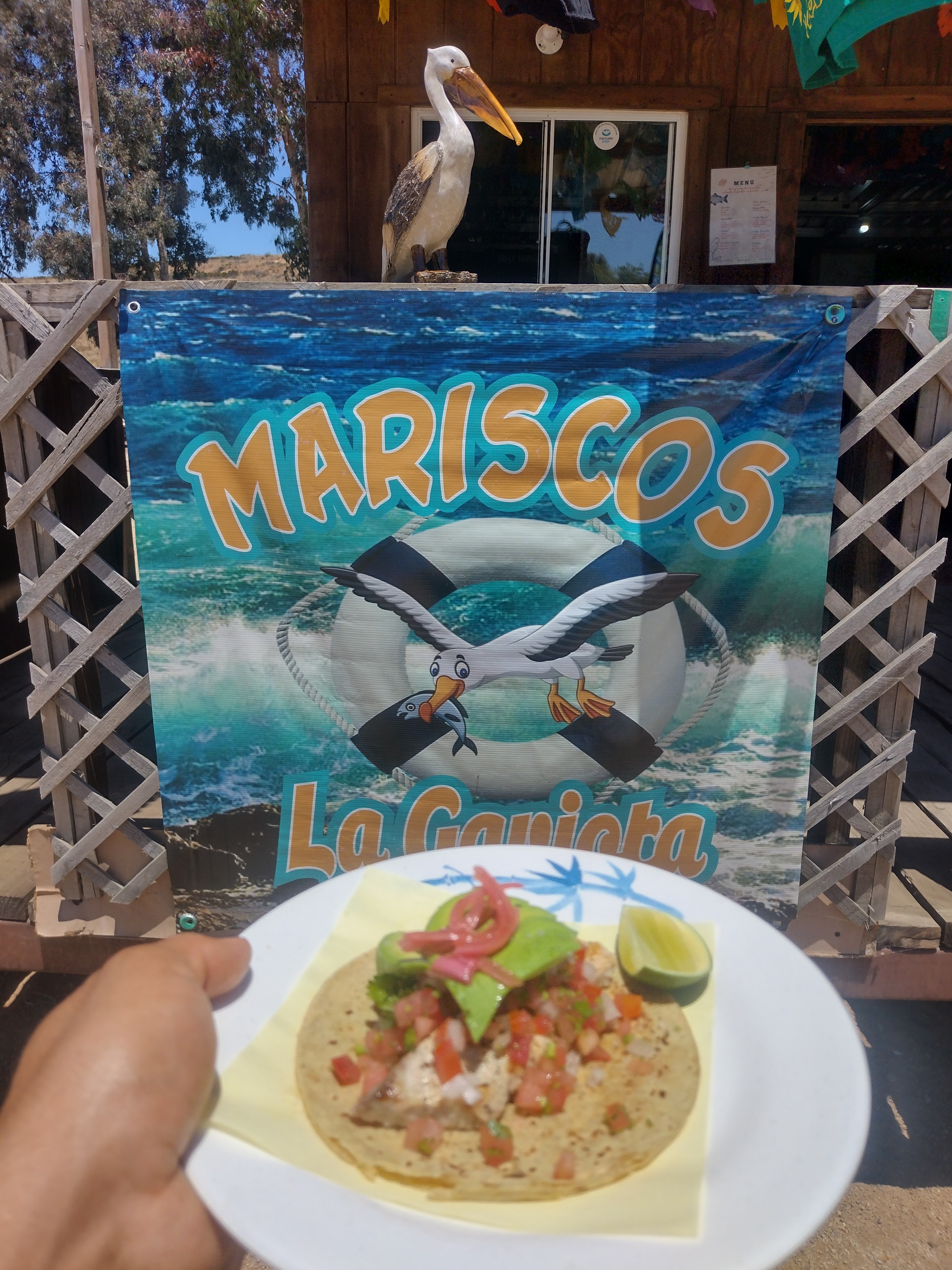 MARISCOS LA GAVIOTA VALLE image 1