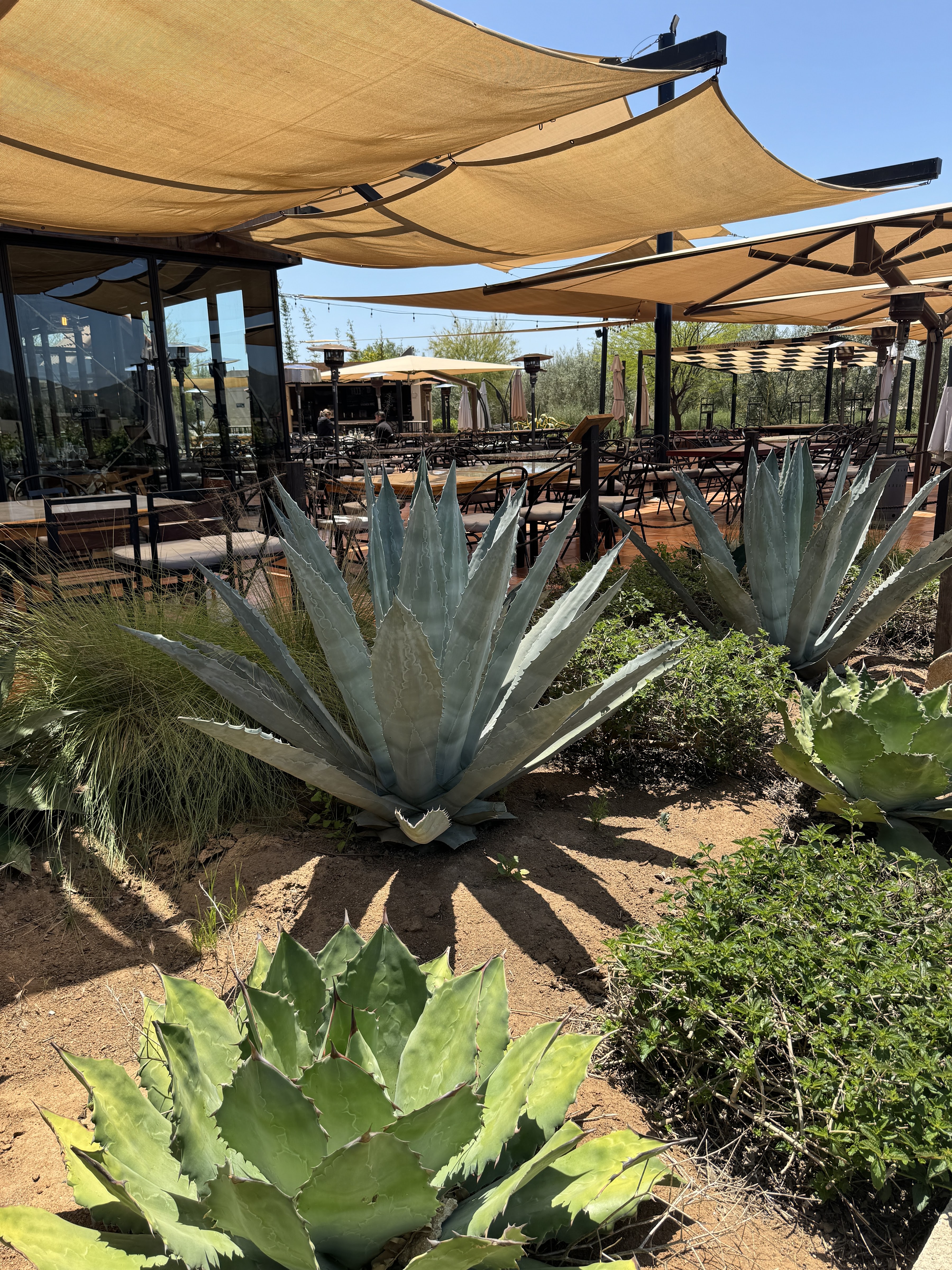 Almatierra Restaurant image 6