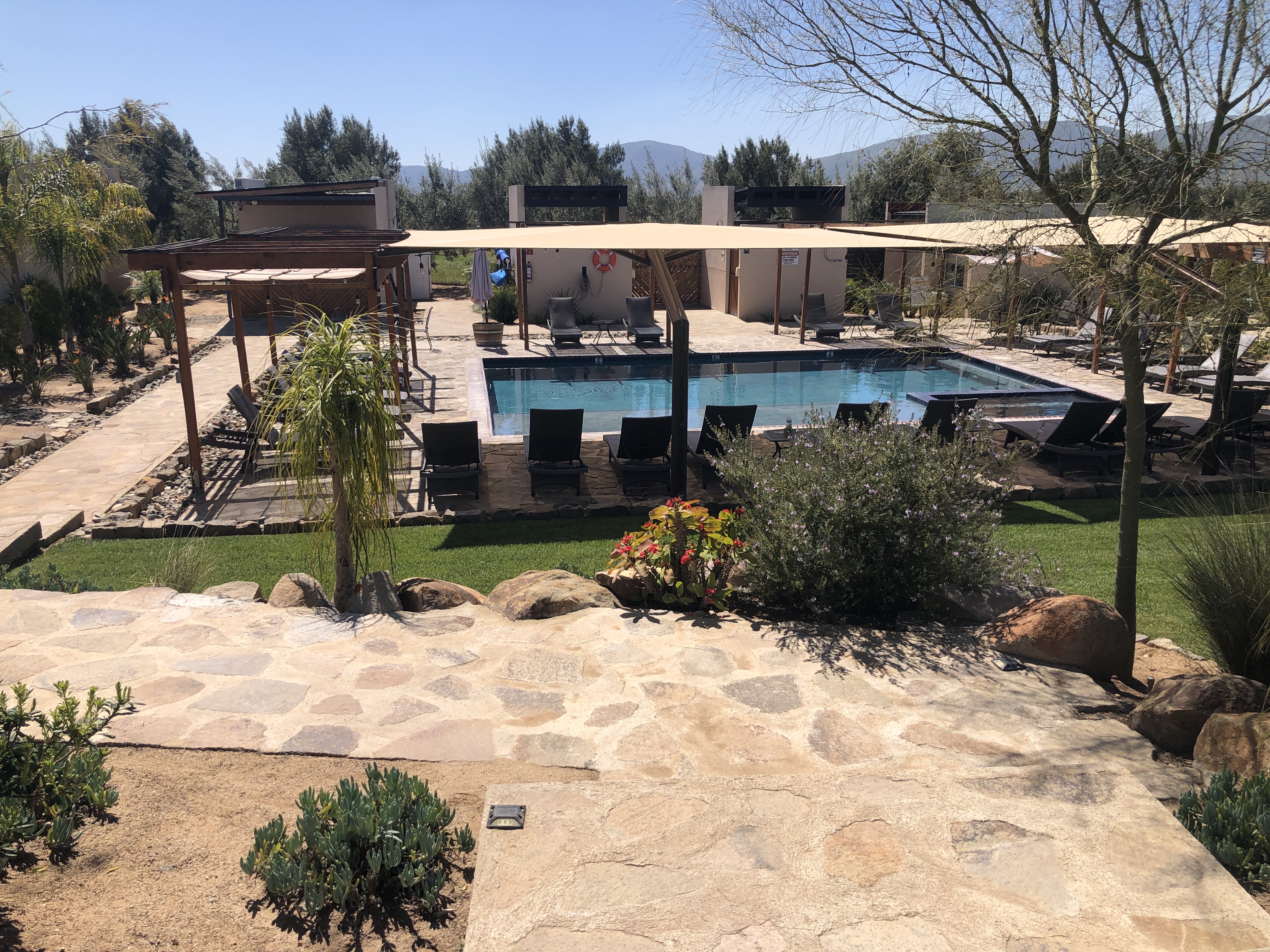 Almatierra Restaurant image 7