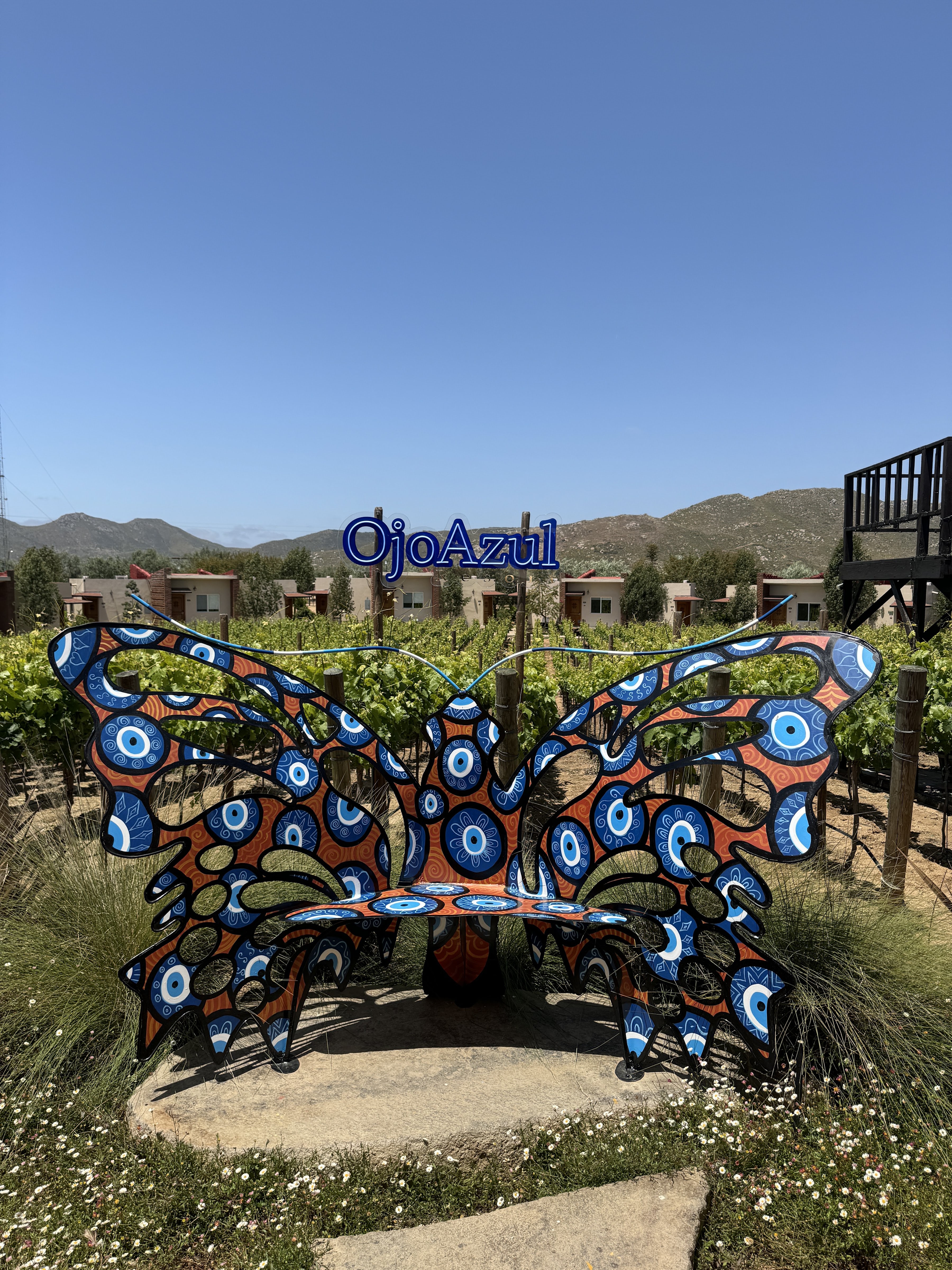 Almatierra Restaurant image 9