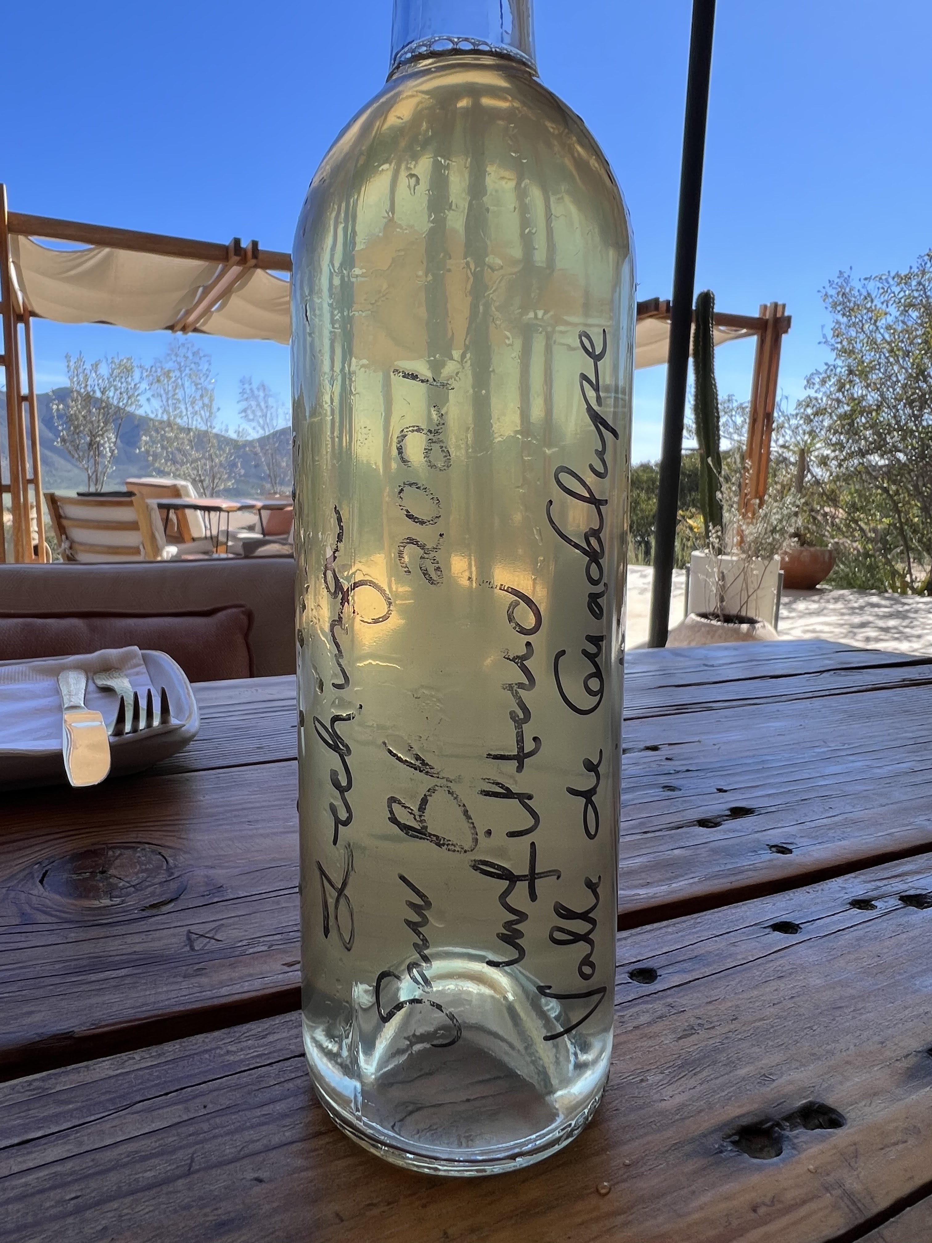 Toba Valle de Guadalupe image 7