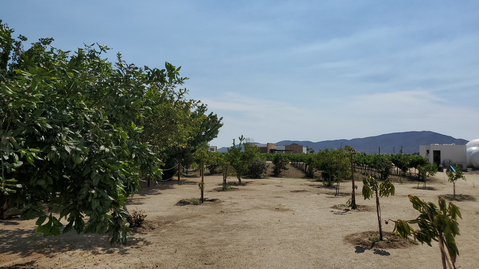 Doce Restaurante image 9