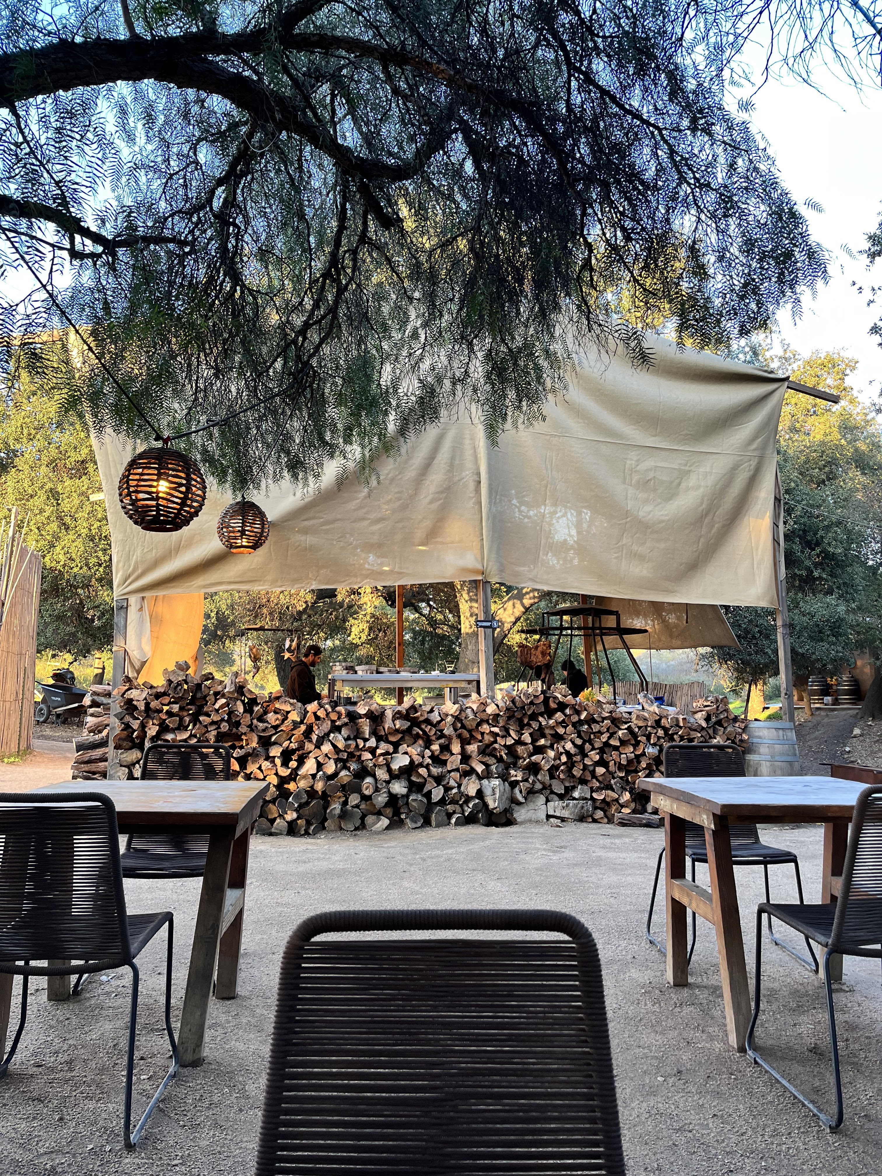 Primitivo Restaurante image 6