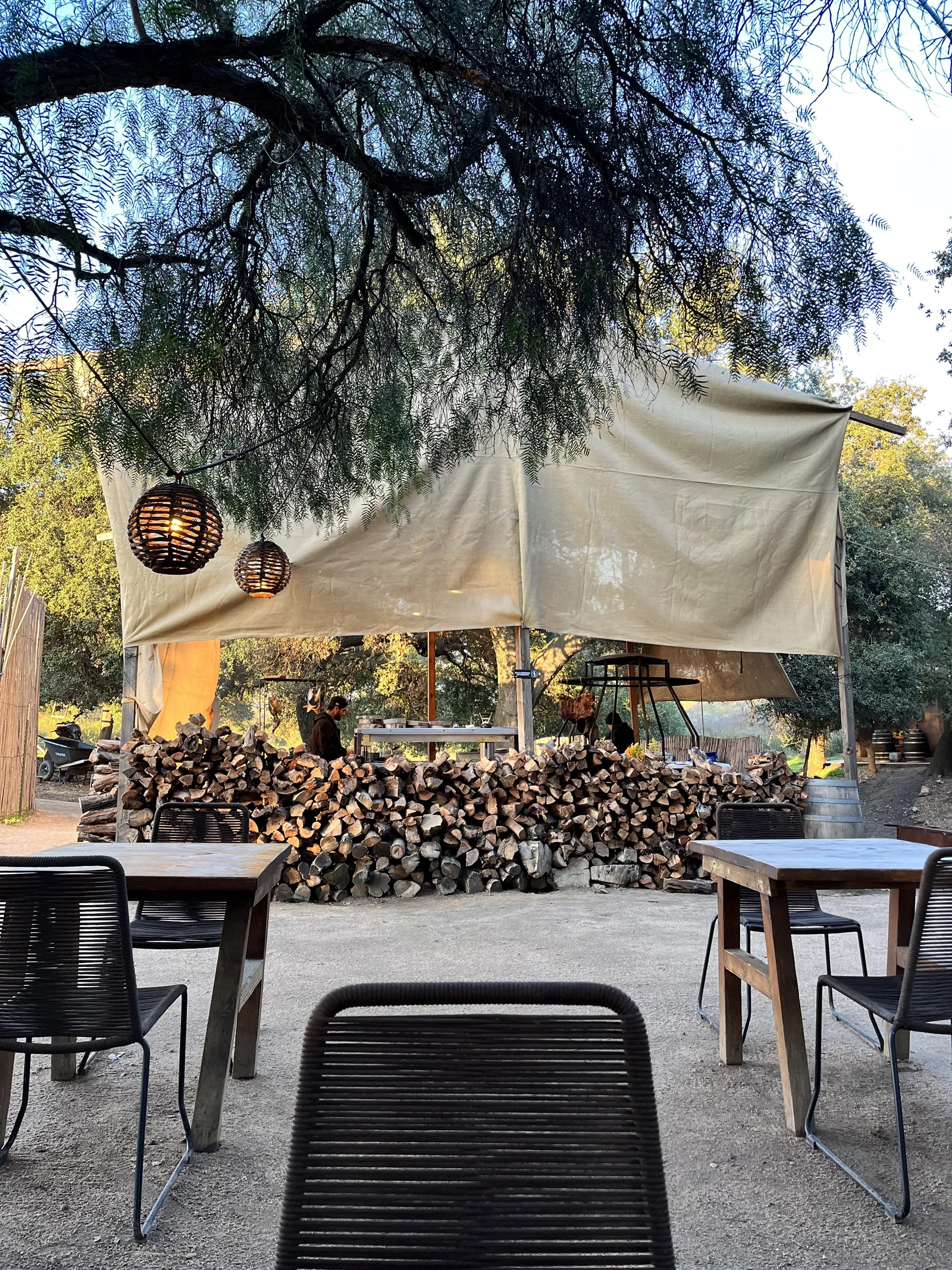 Primitivo Restaurante image 6