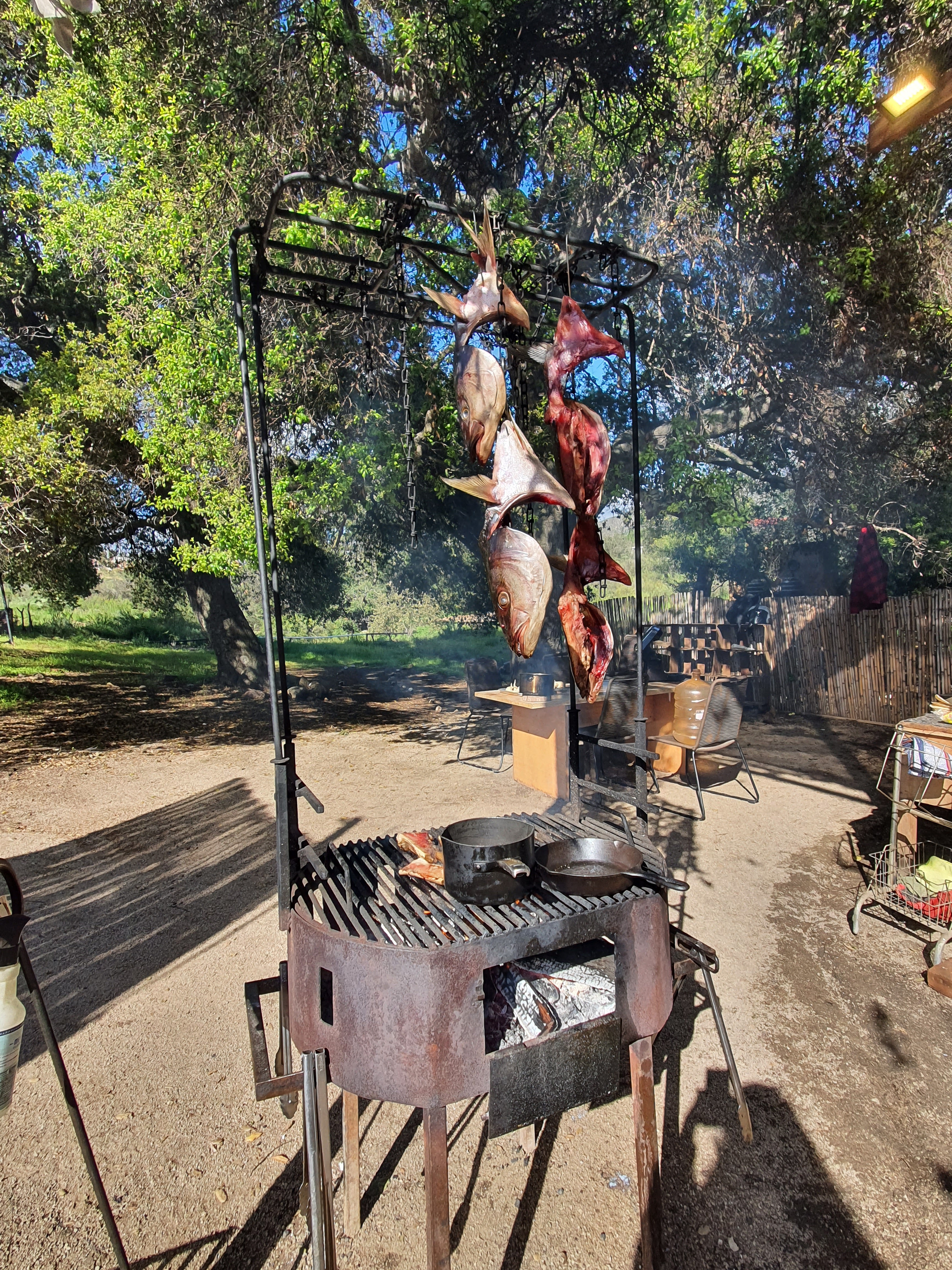 Primitivo Restaurante image 7