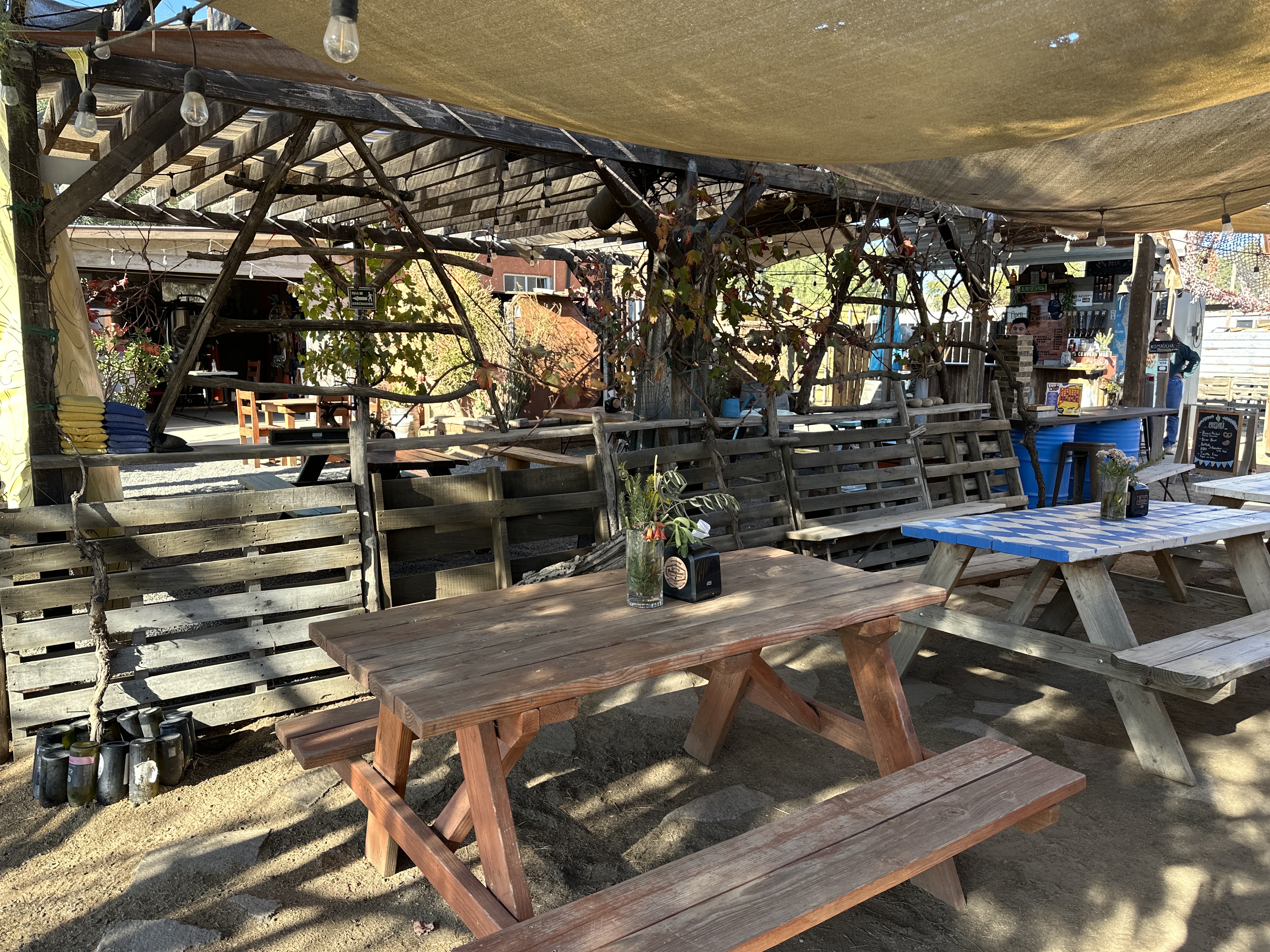 Cerveceria Bellinghausen image 1