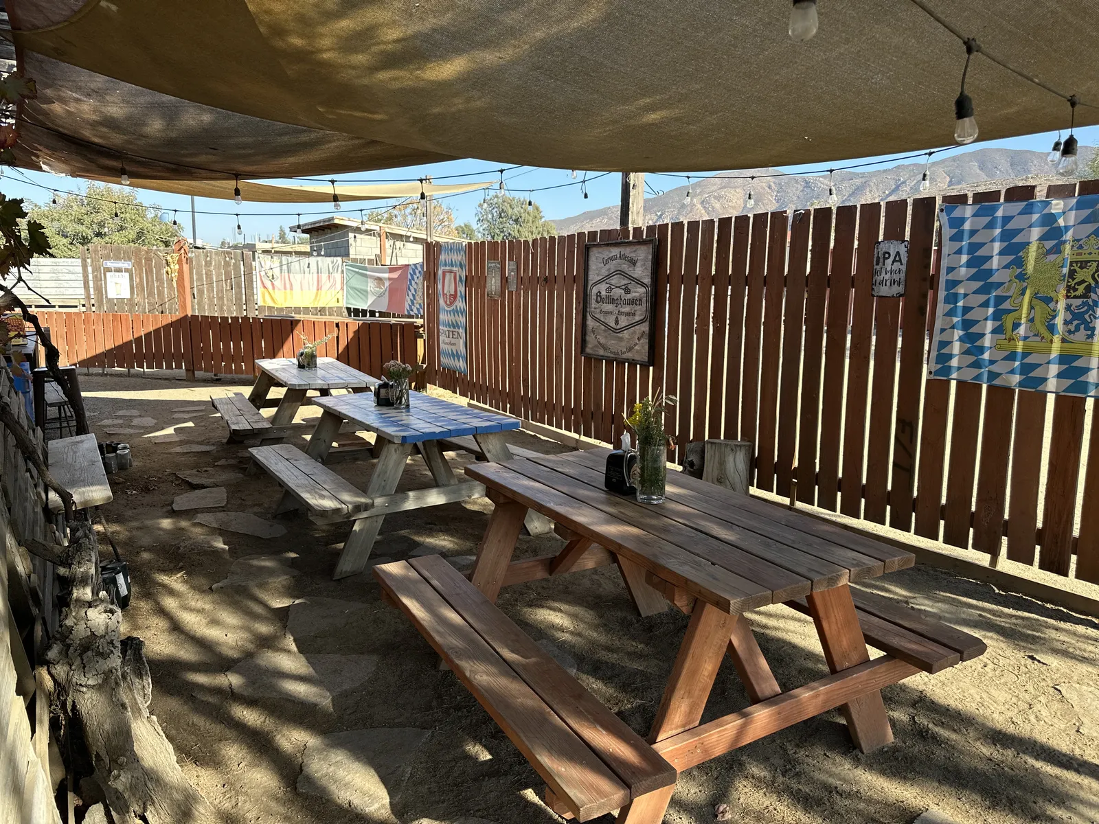 Cerveceria Bellinghausen image 4