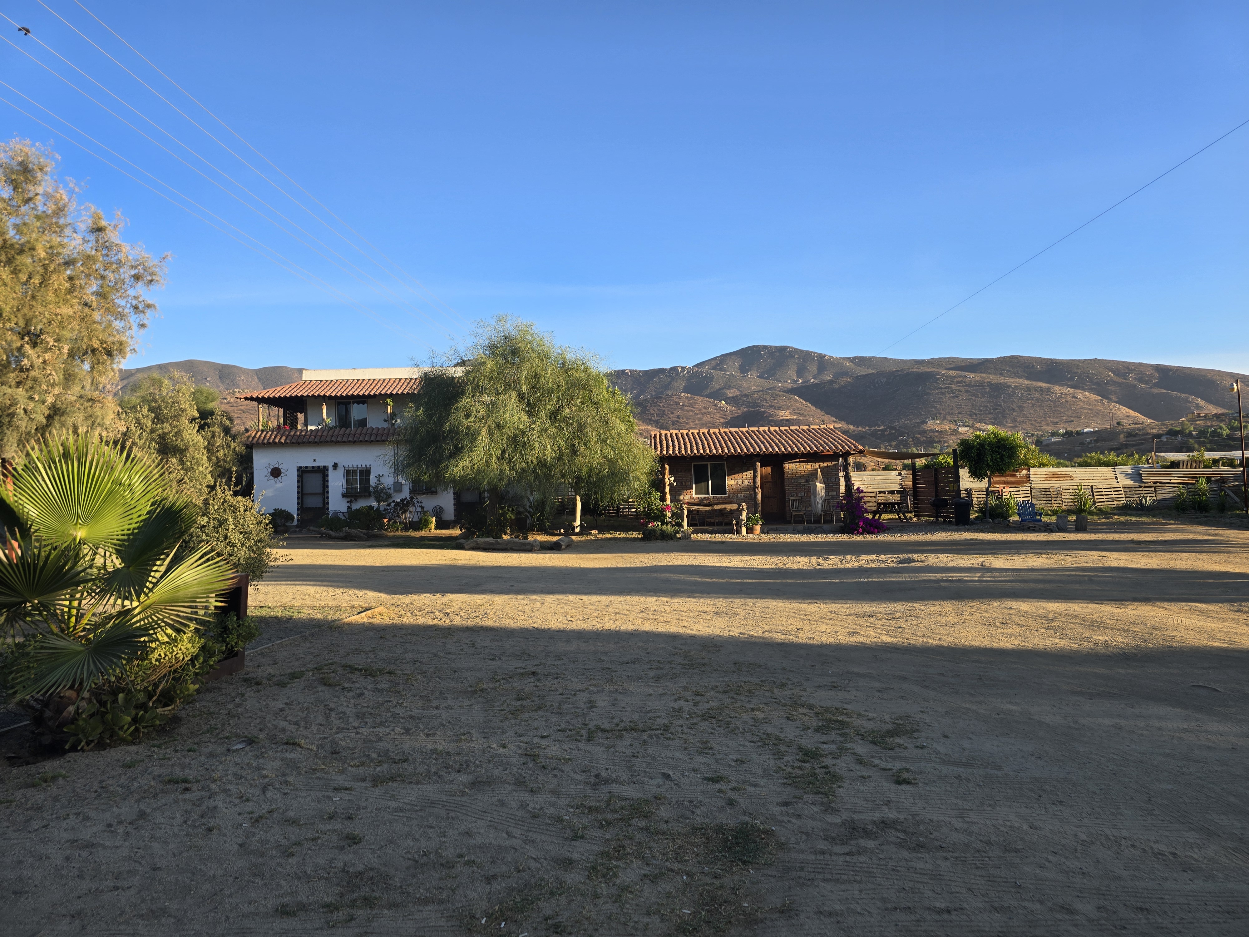 Cerveceria Bellinghausen image 8