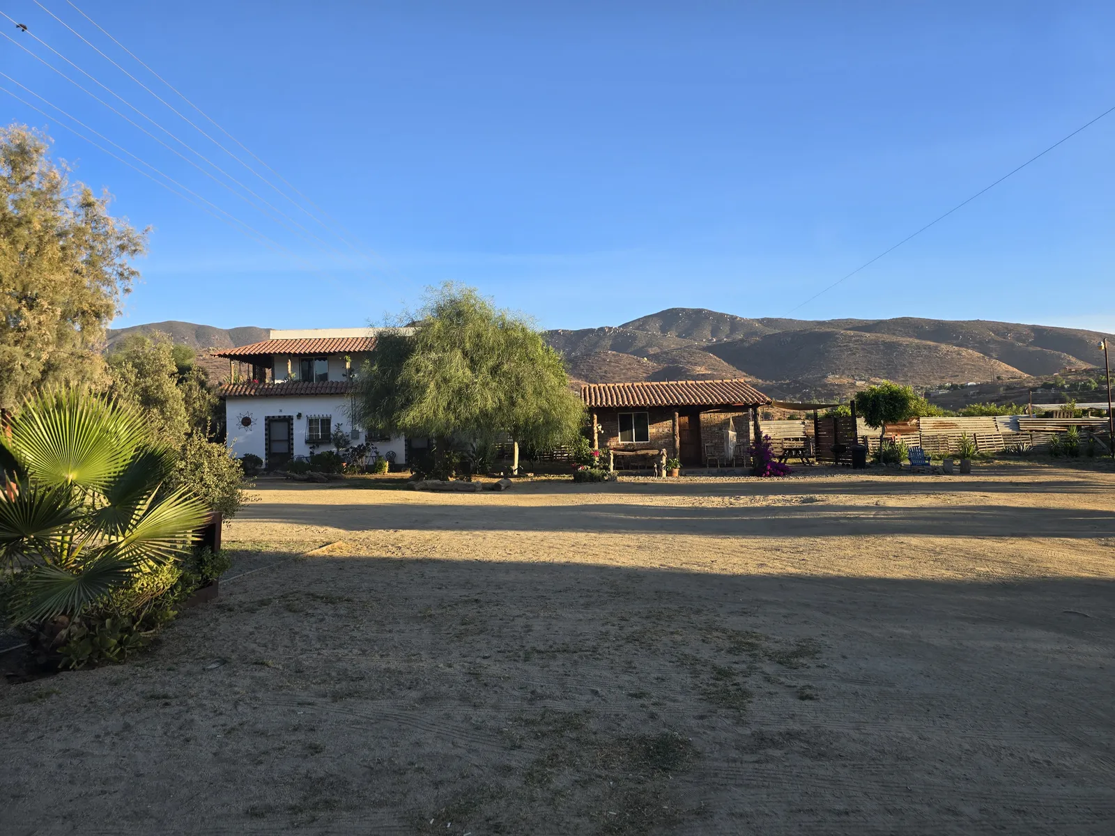 Cerveceria Bellinghausen image 8