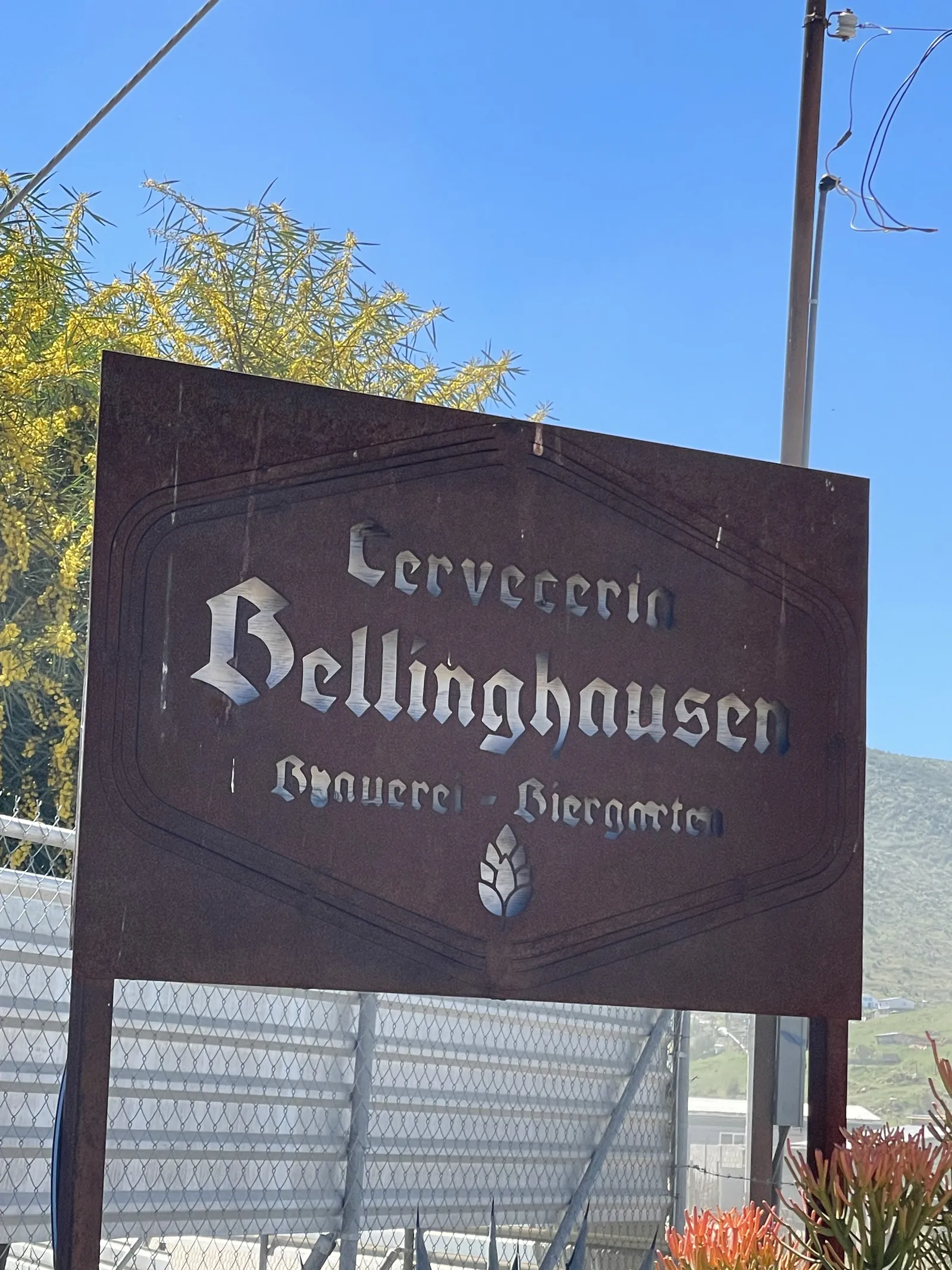 Cerveceria Bellinghausen image 10