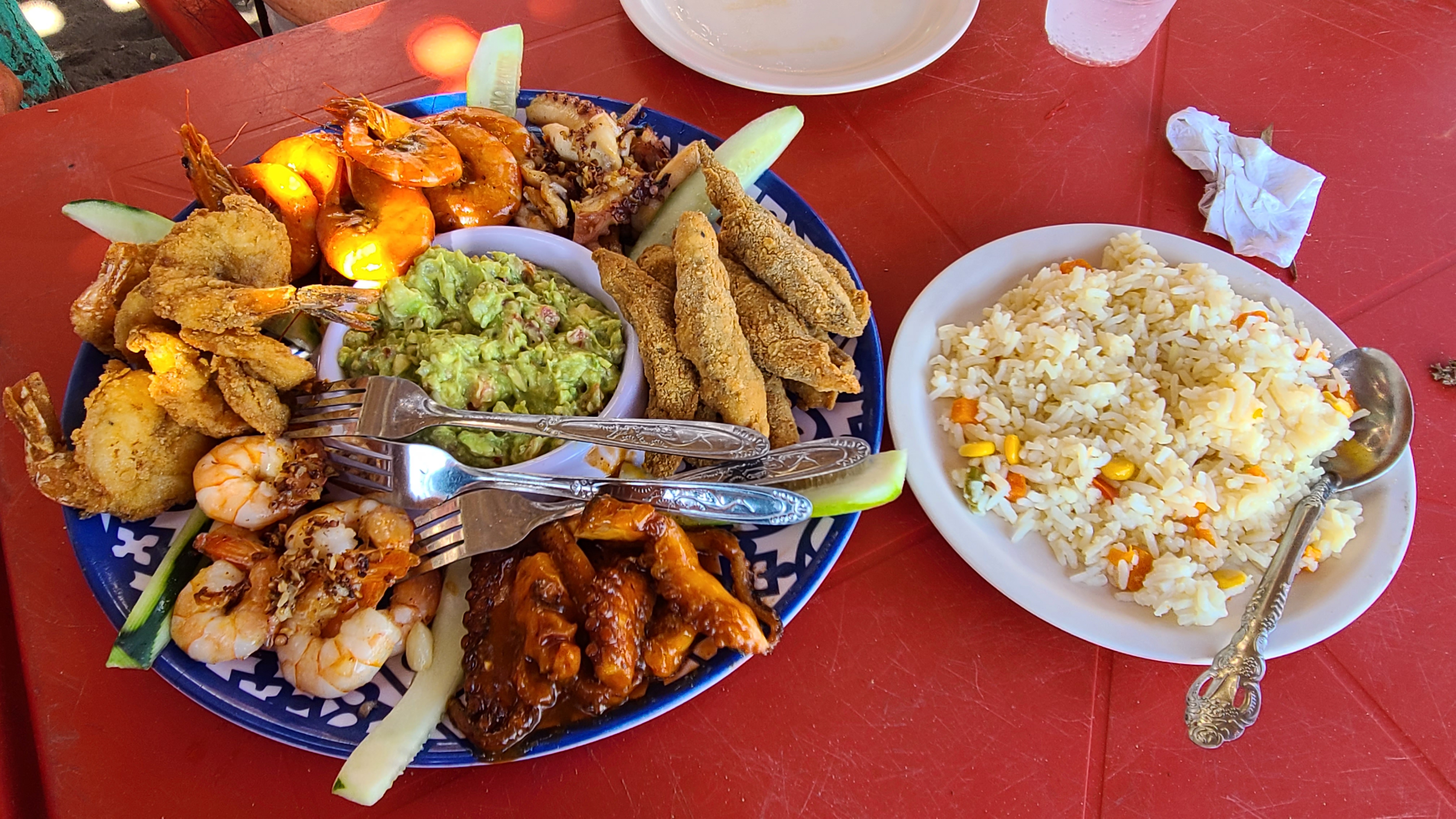 Restaurante y Ramada El Matanchen de el Chino image 2