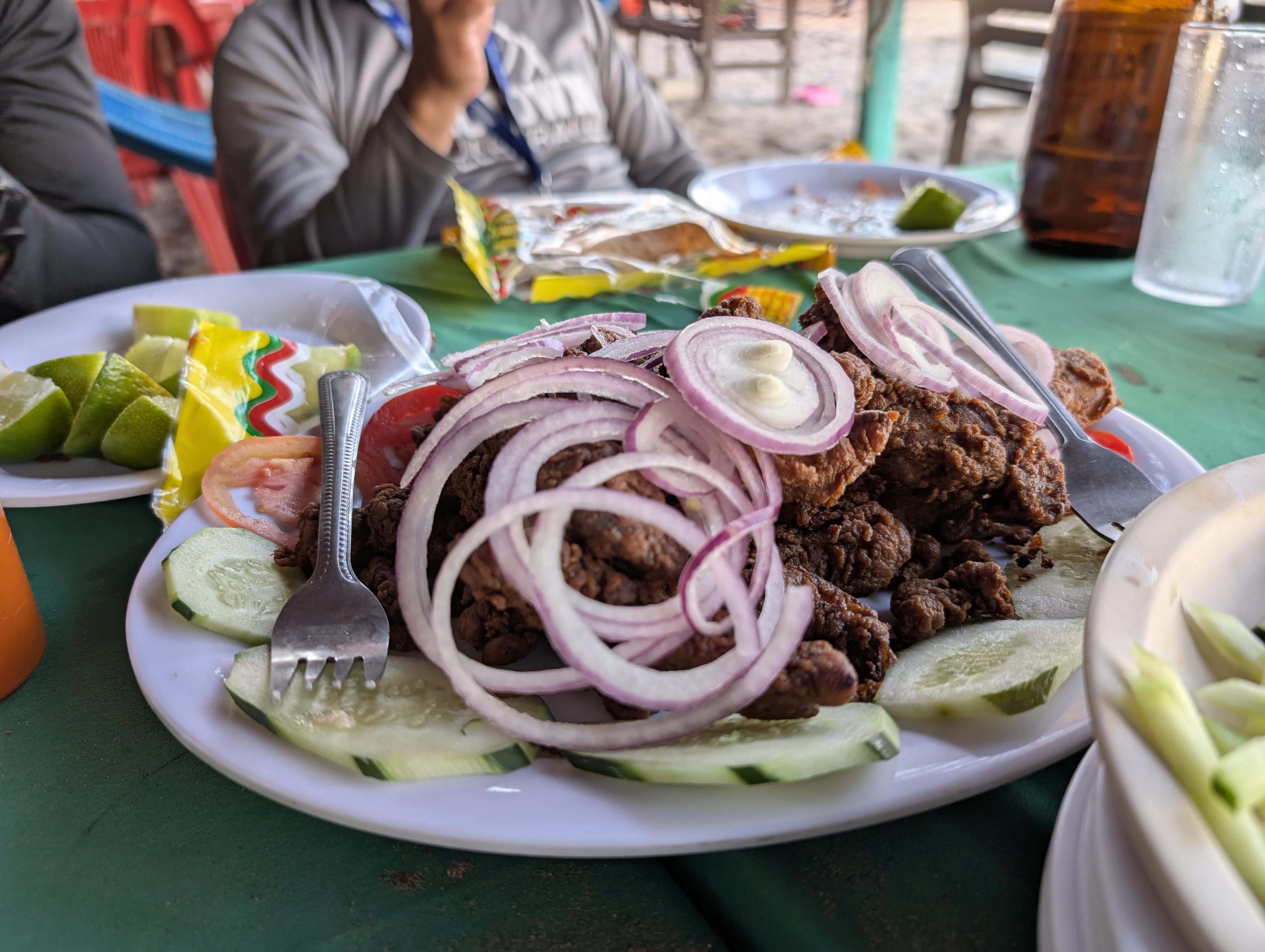 Restaurante y Ramada El Matanchen de el Chino image 7