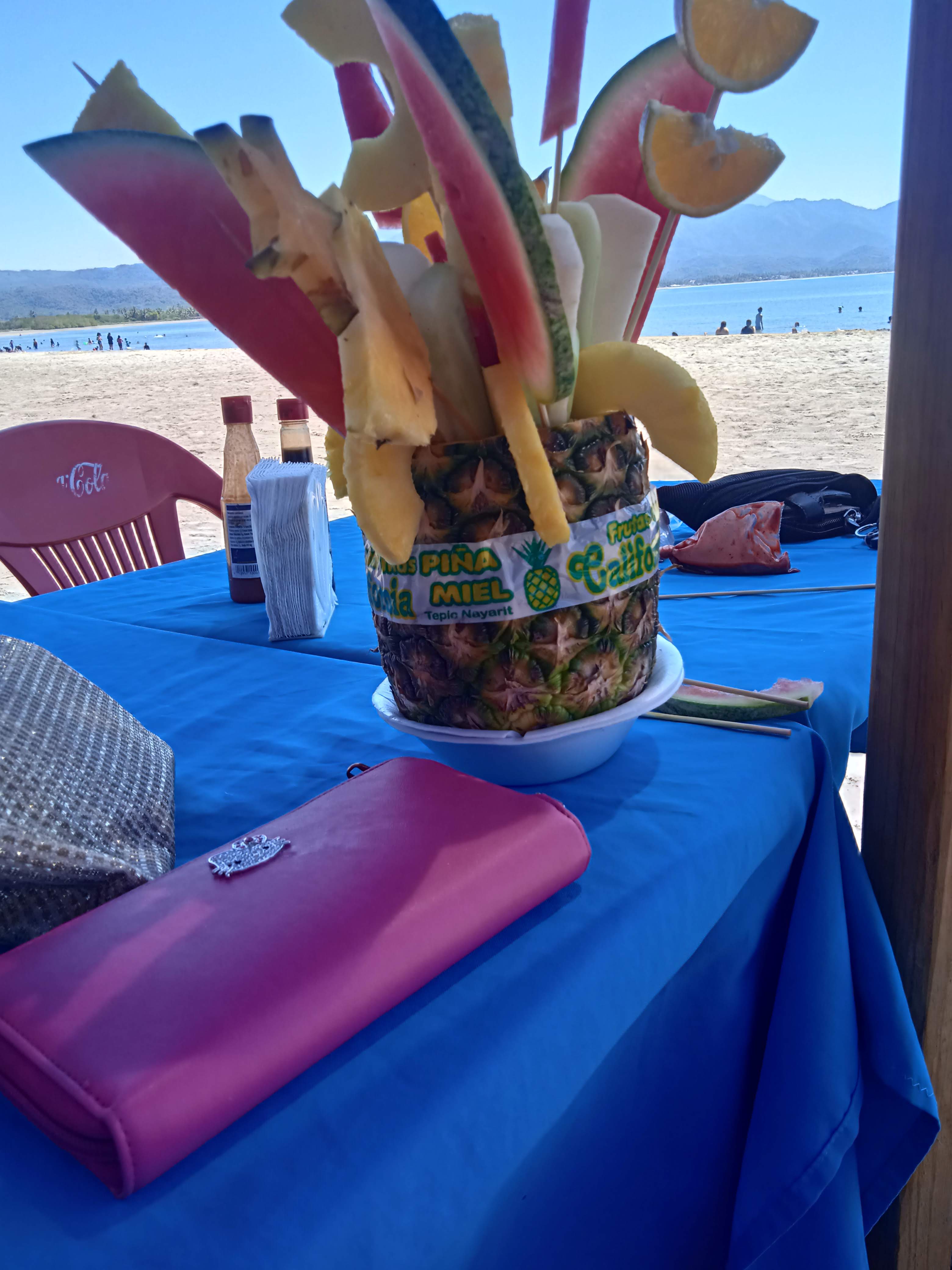 Restaurante y Ramada El Matanchen de el Chino image 9