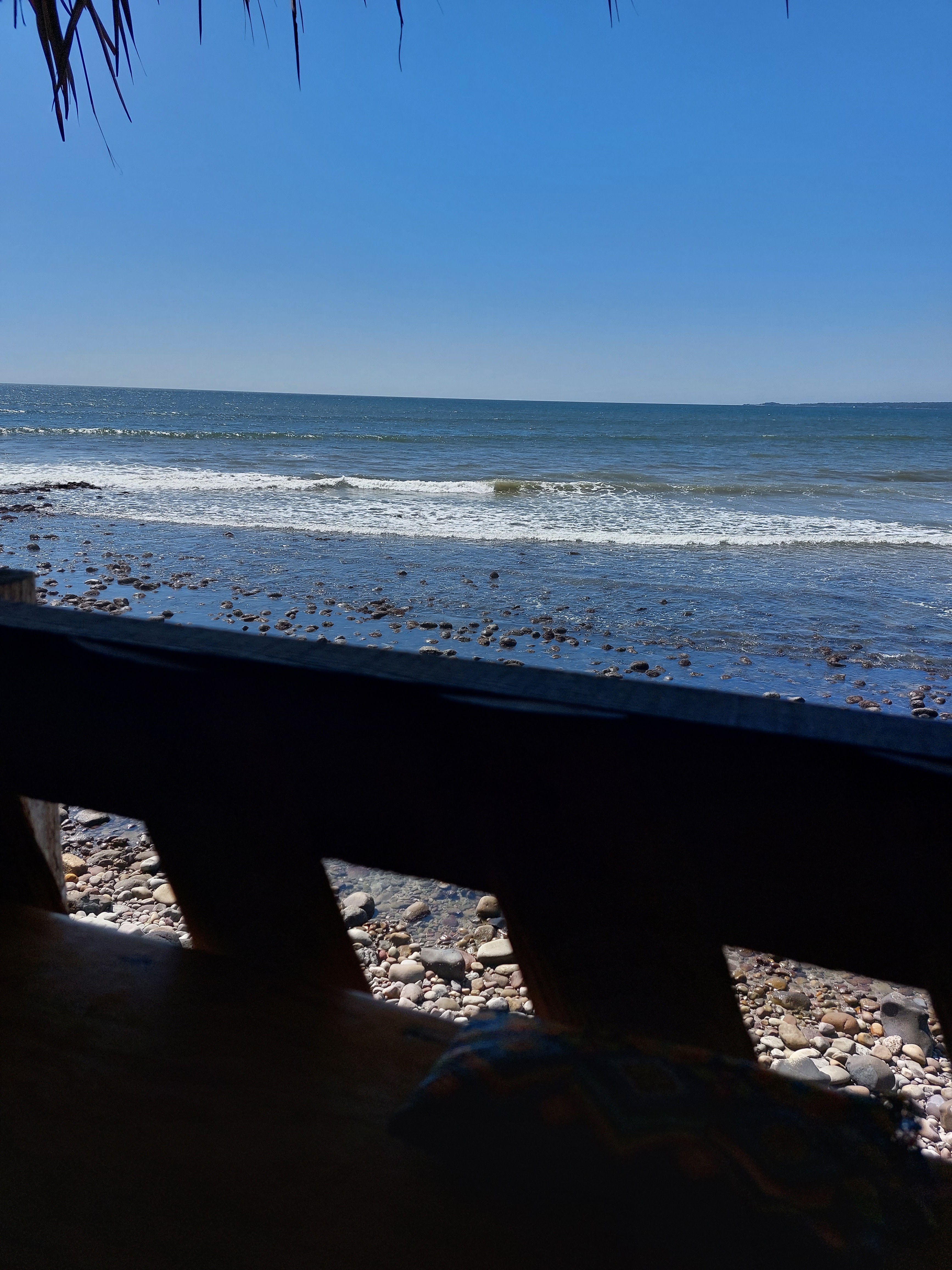 Mariscos 'Nico's' image 9