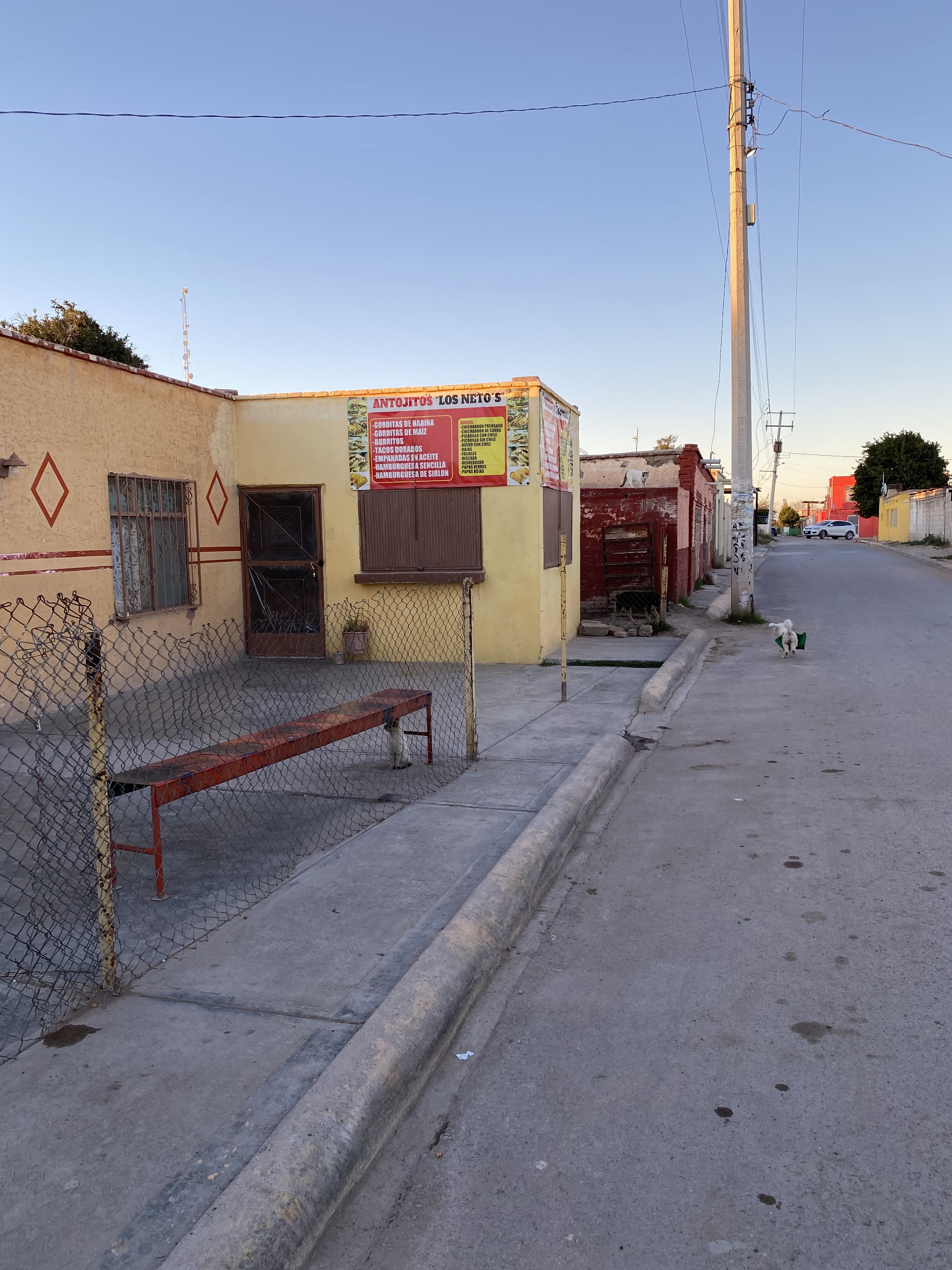 Antojitos “Los Neto’s” image 2