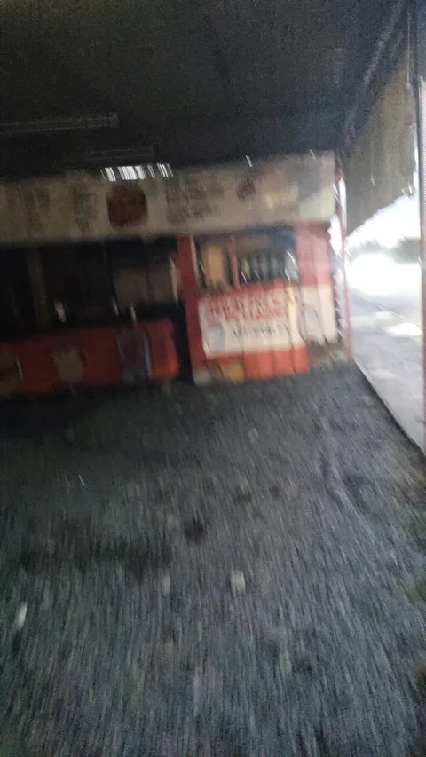Taqueria Del Sur image 2