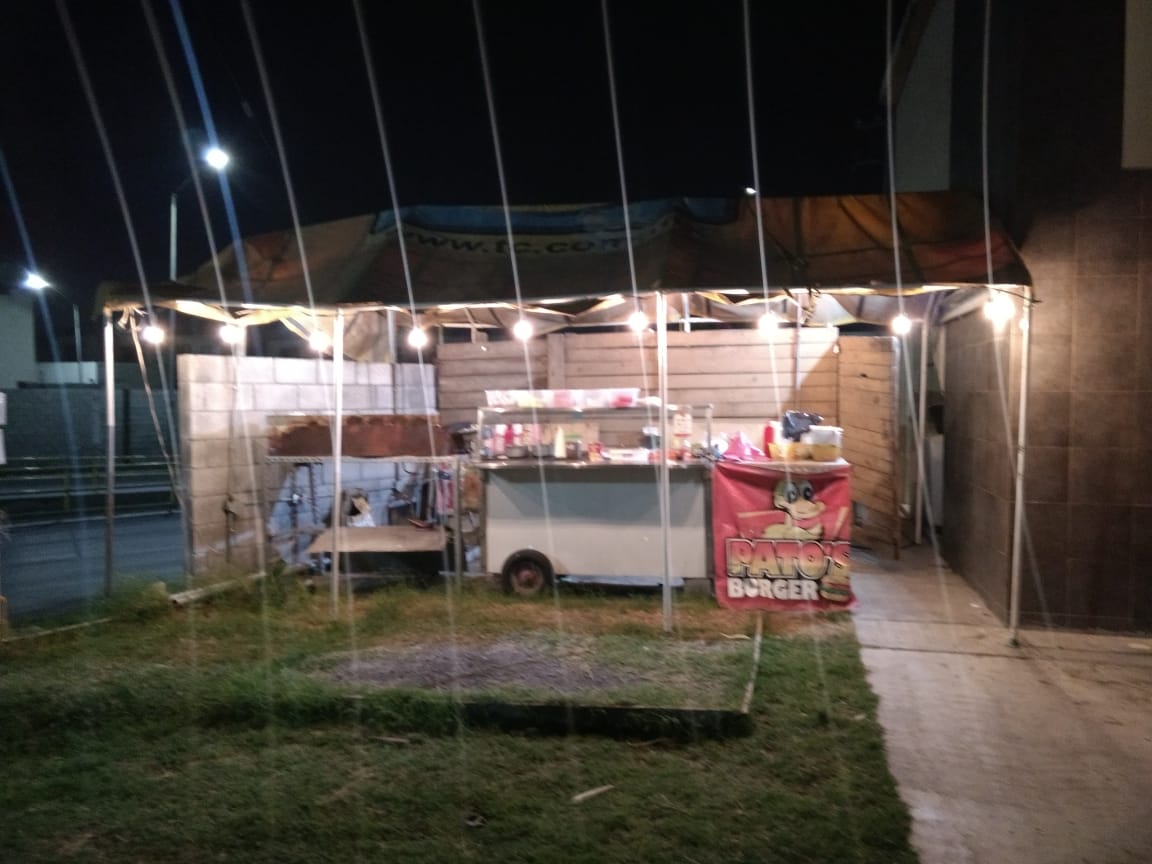 Pato Apodaca image 4