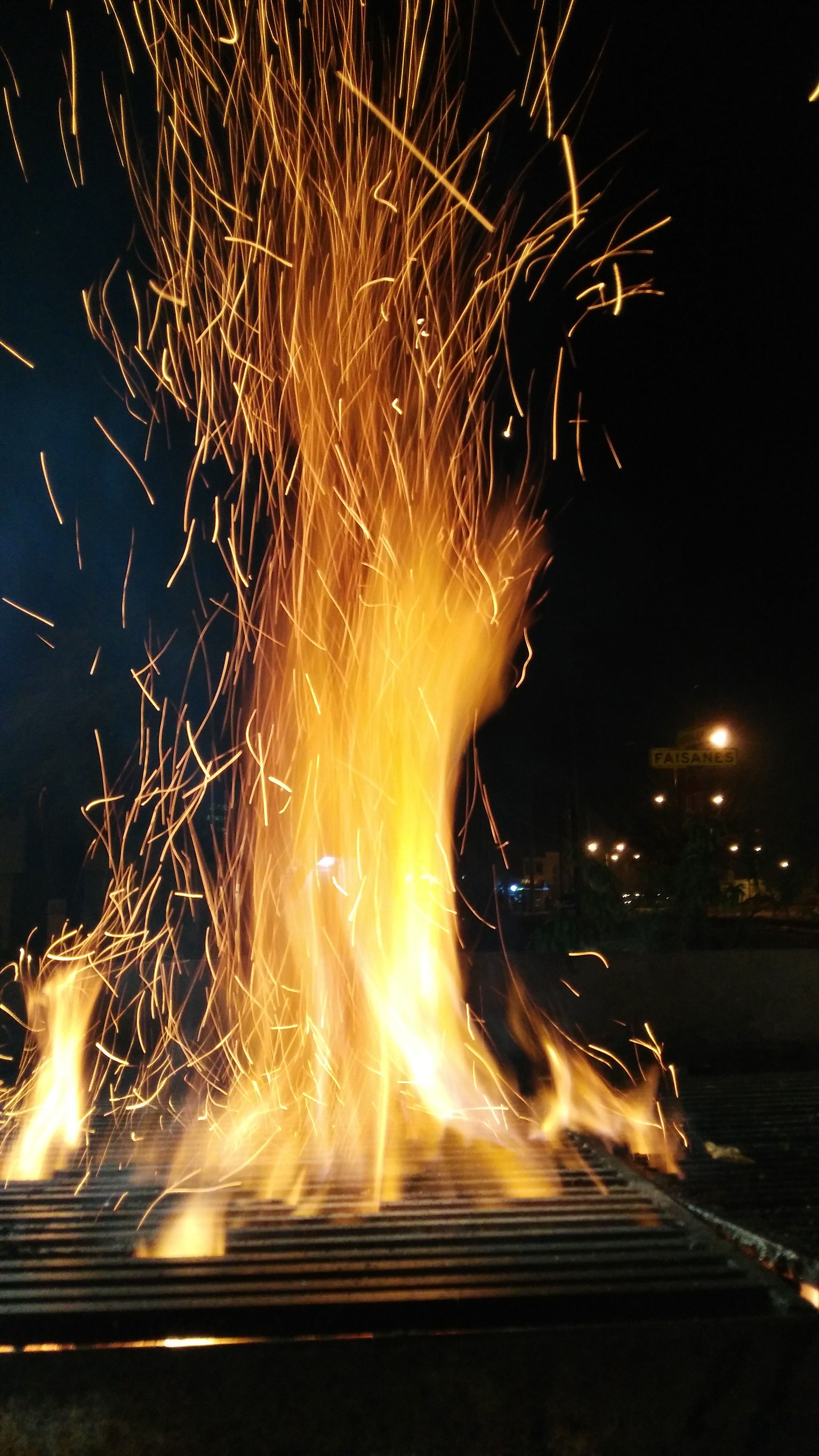 Pato Apodaca image 7