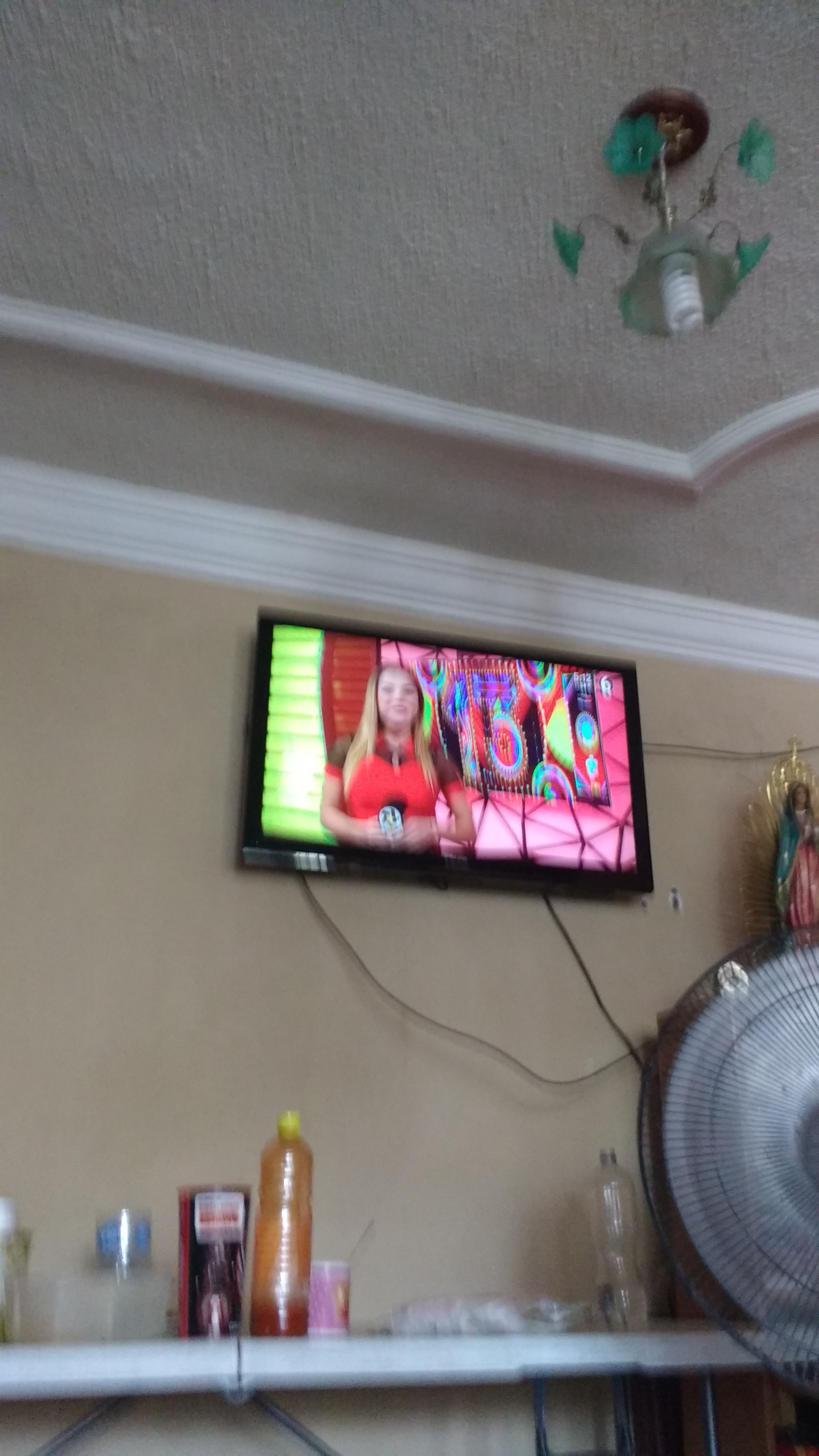 Pato Apodaca image 9