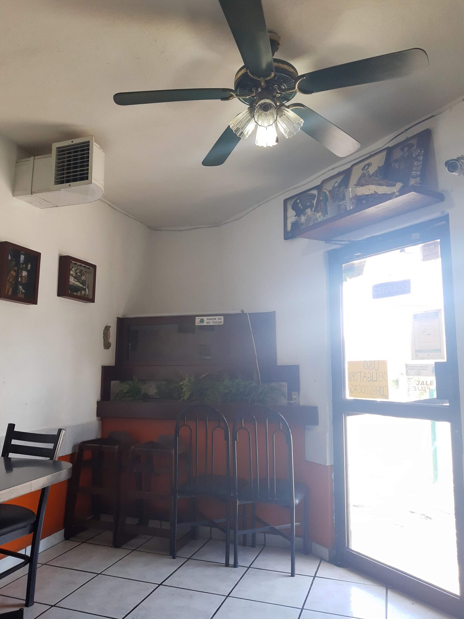 la ranita image 10