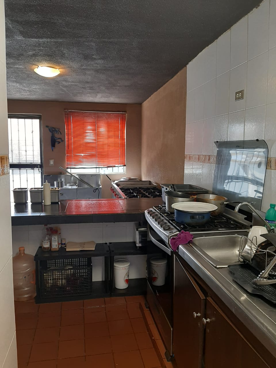 Chilaquiles Moctezuma image 6