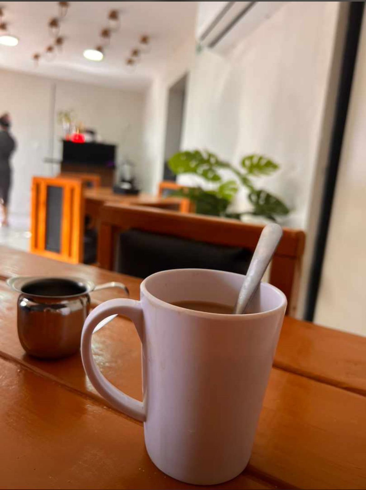 El rinconcito huasteco image 8