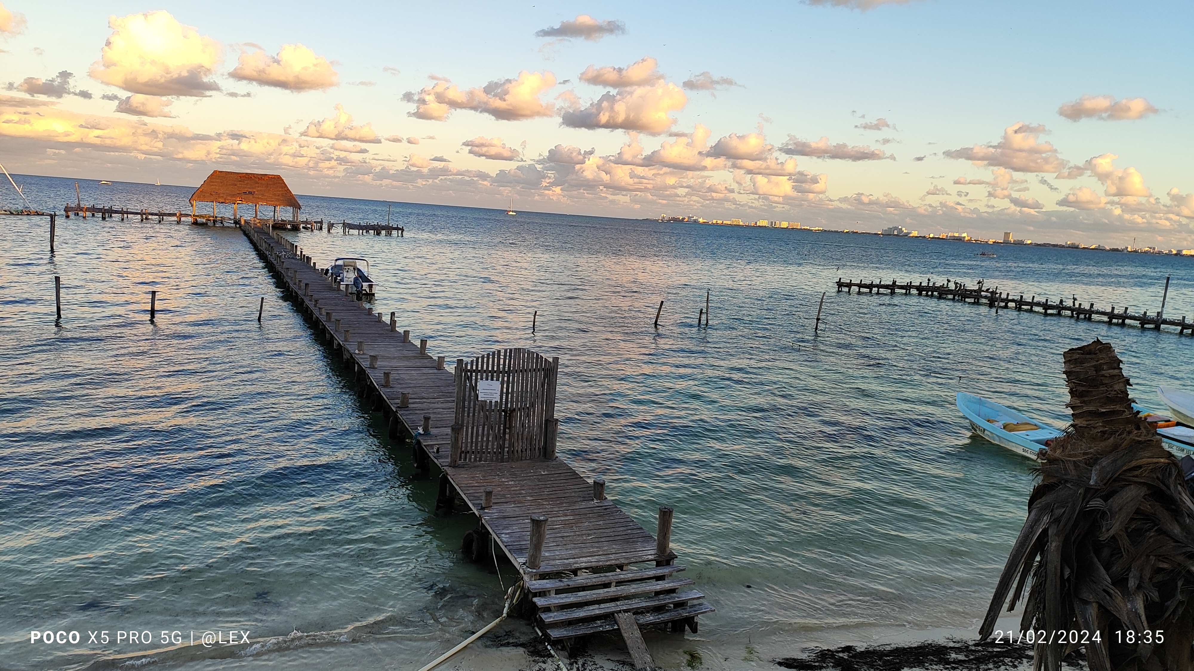 Marbella Fish Market & Raw Bar Grill image 3