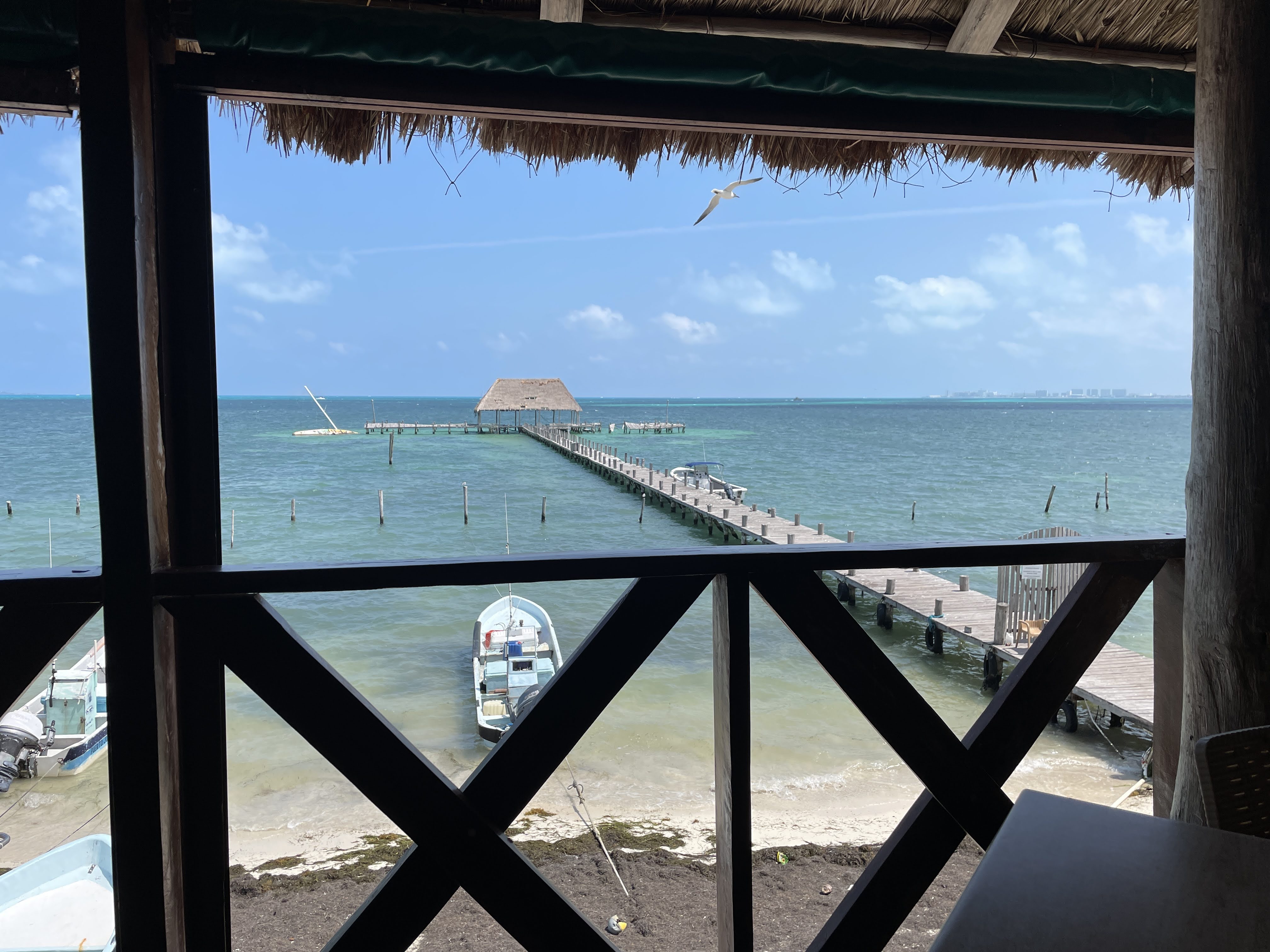 Marbella Fish Market & Raw Bar Grill image 4