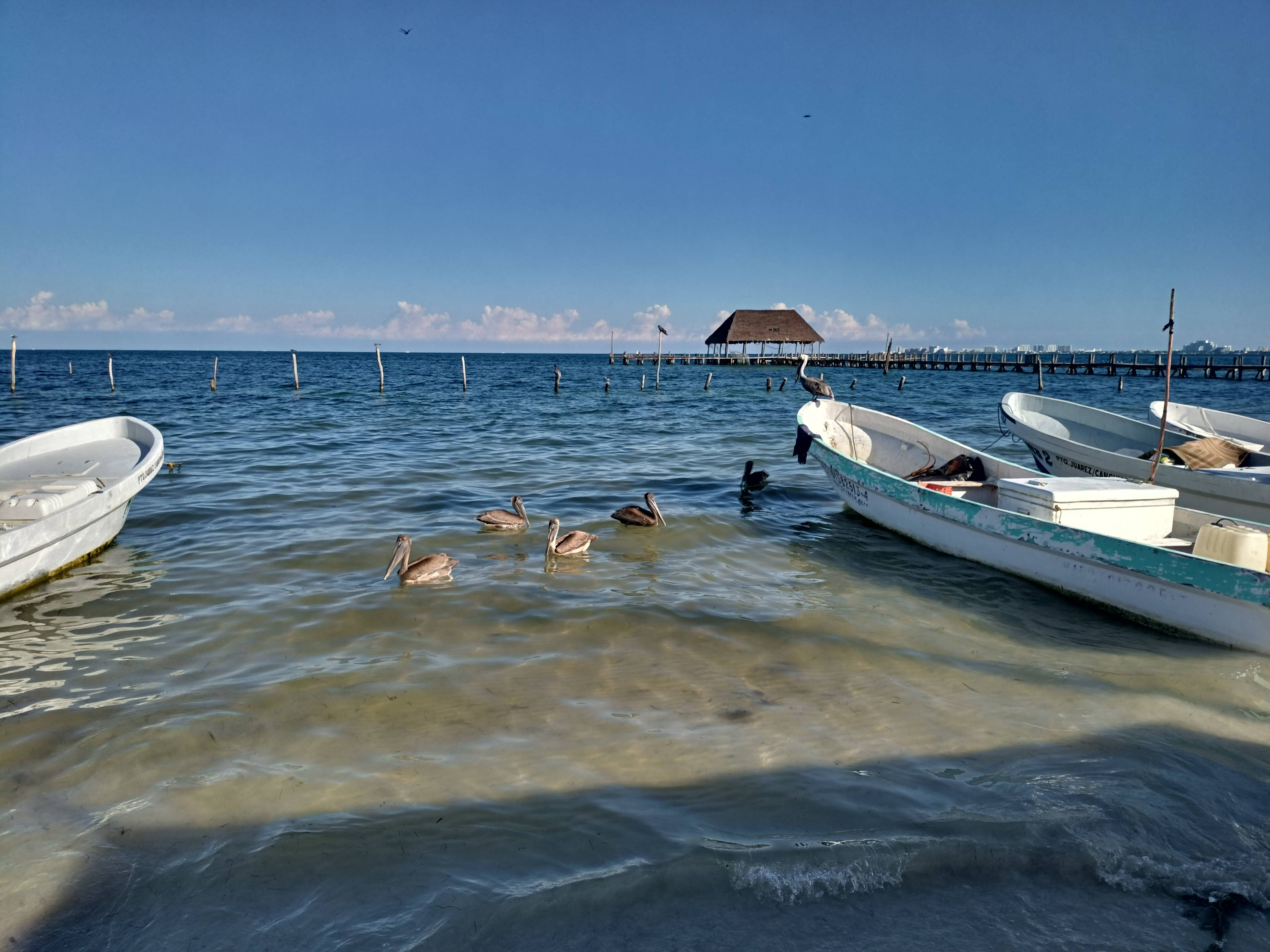 Resraurante Cubano image 7