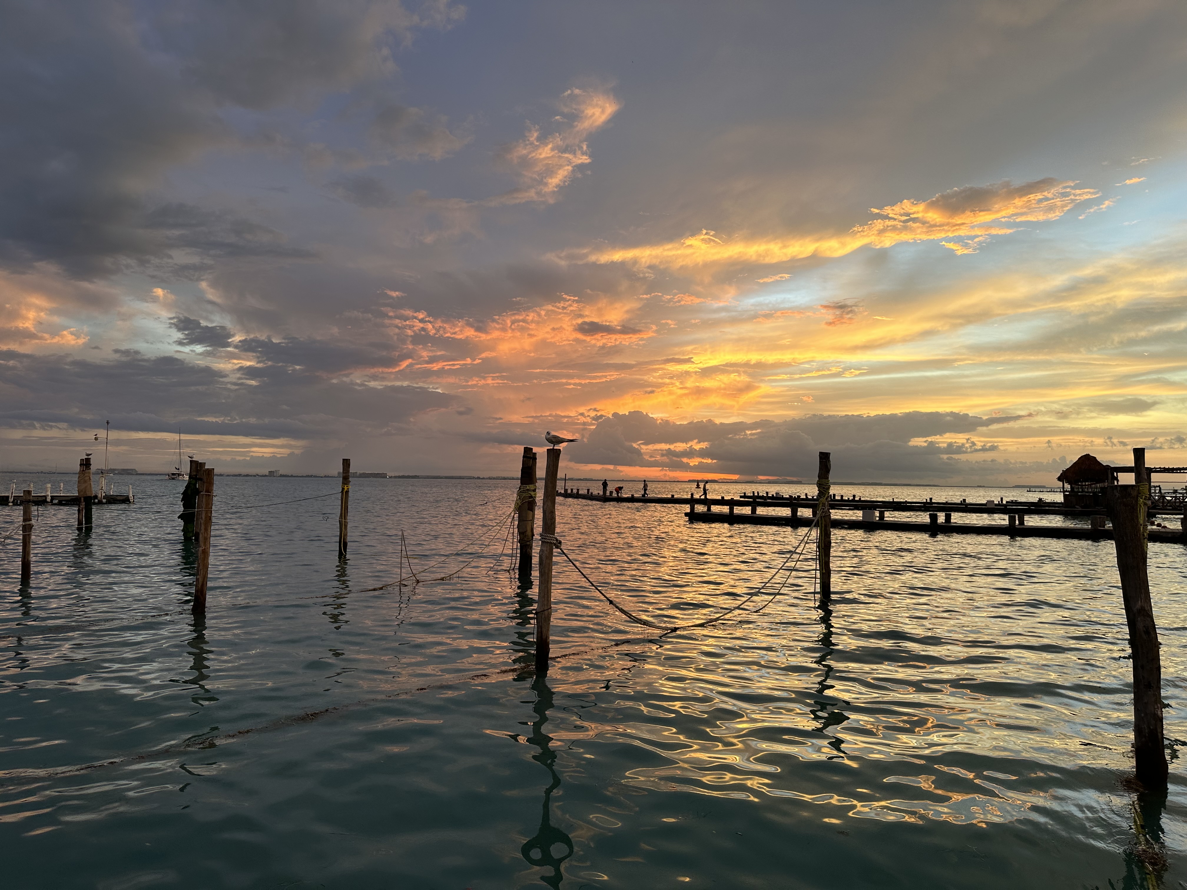 Blue Ballyhoo Restaurant & Bar image 8