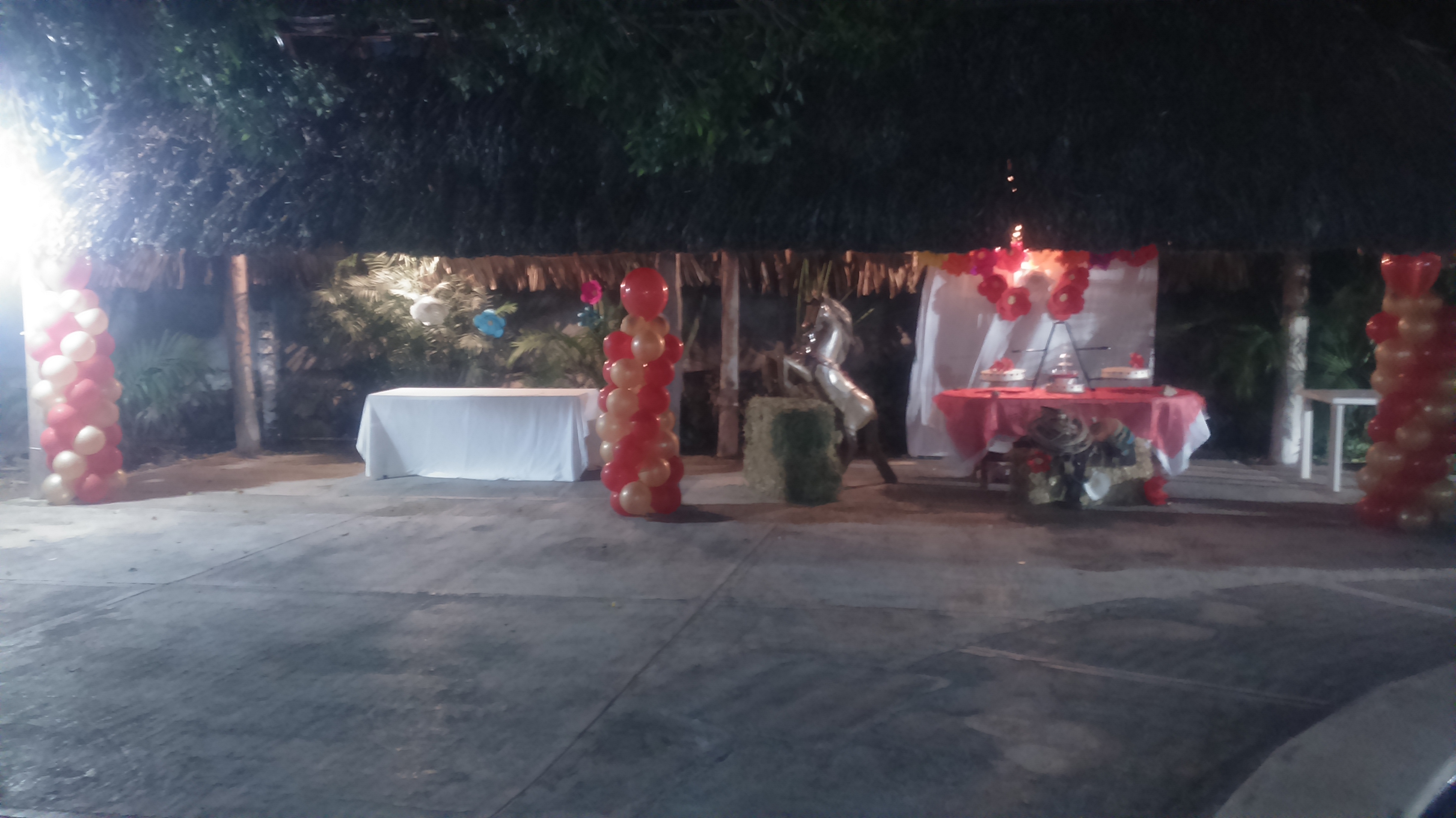 Albercas Nuñez image 8