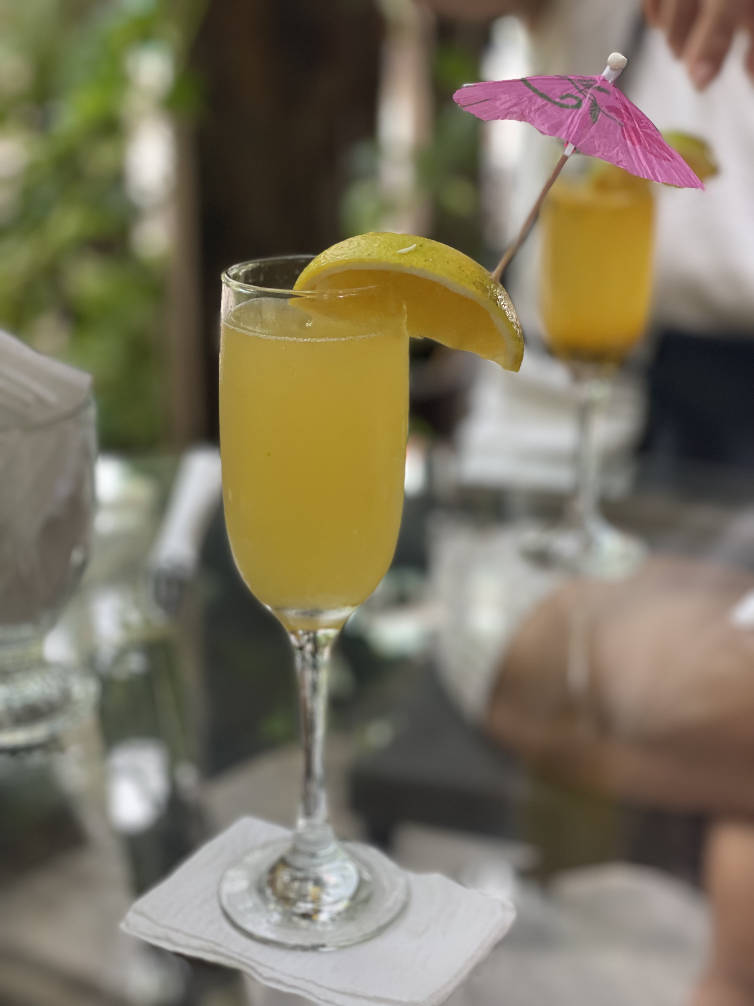 North Garden image 7