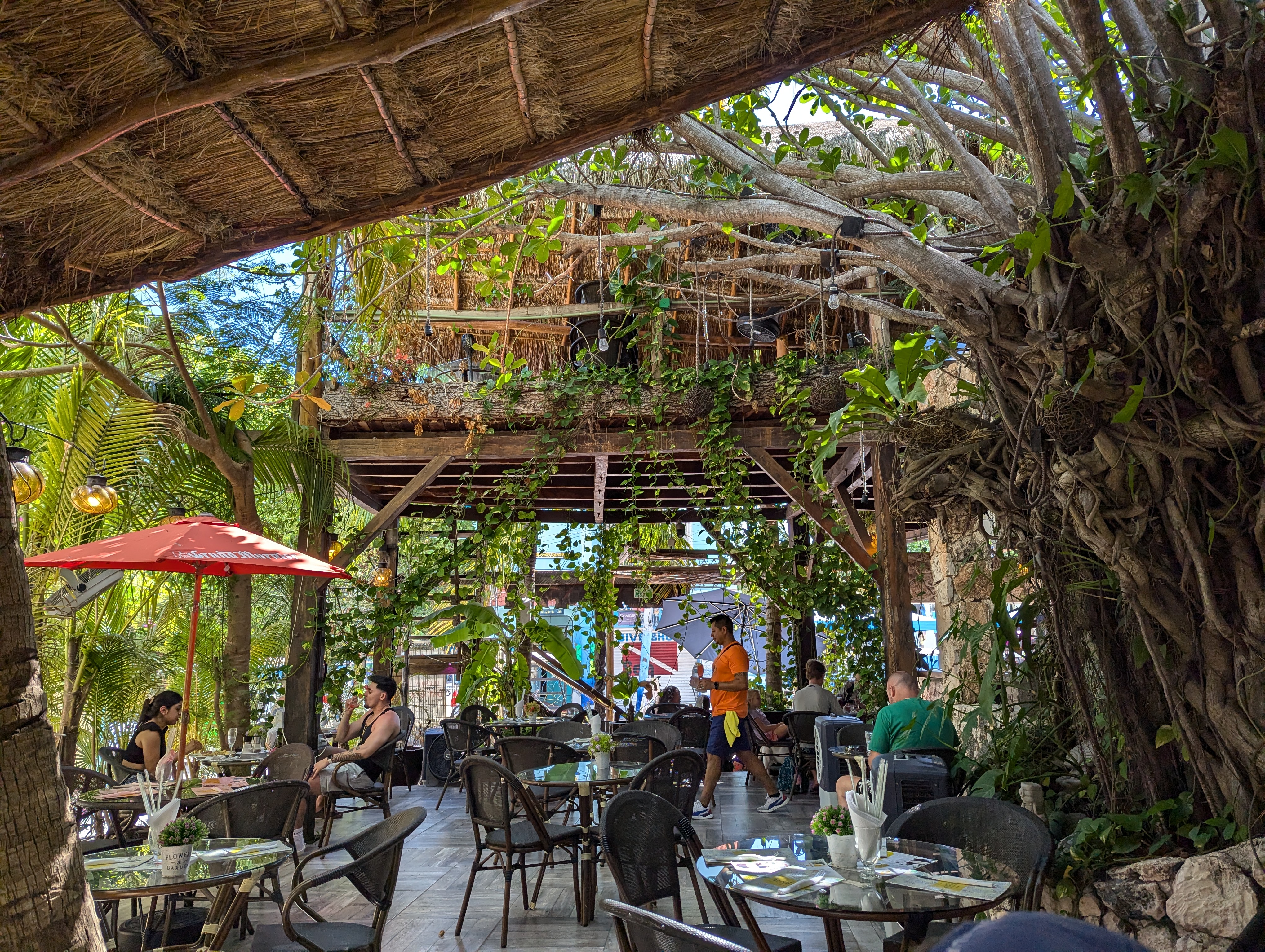 North Garden image 10