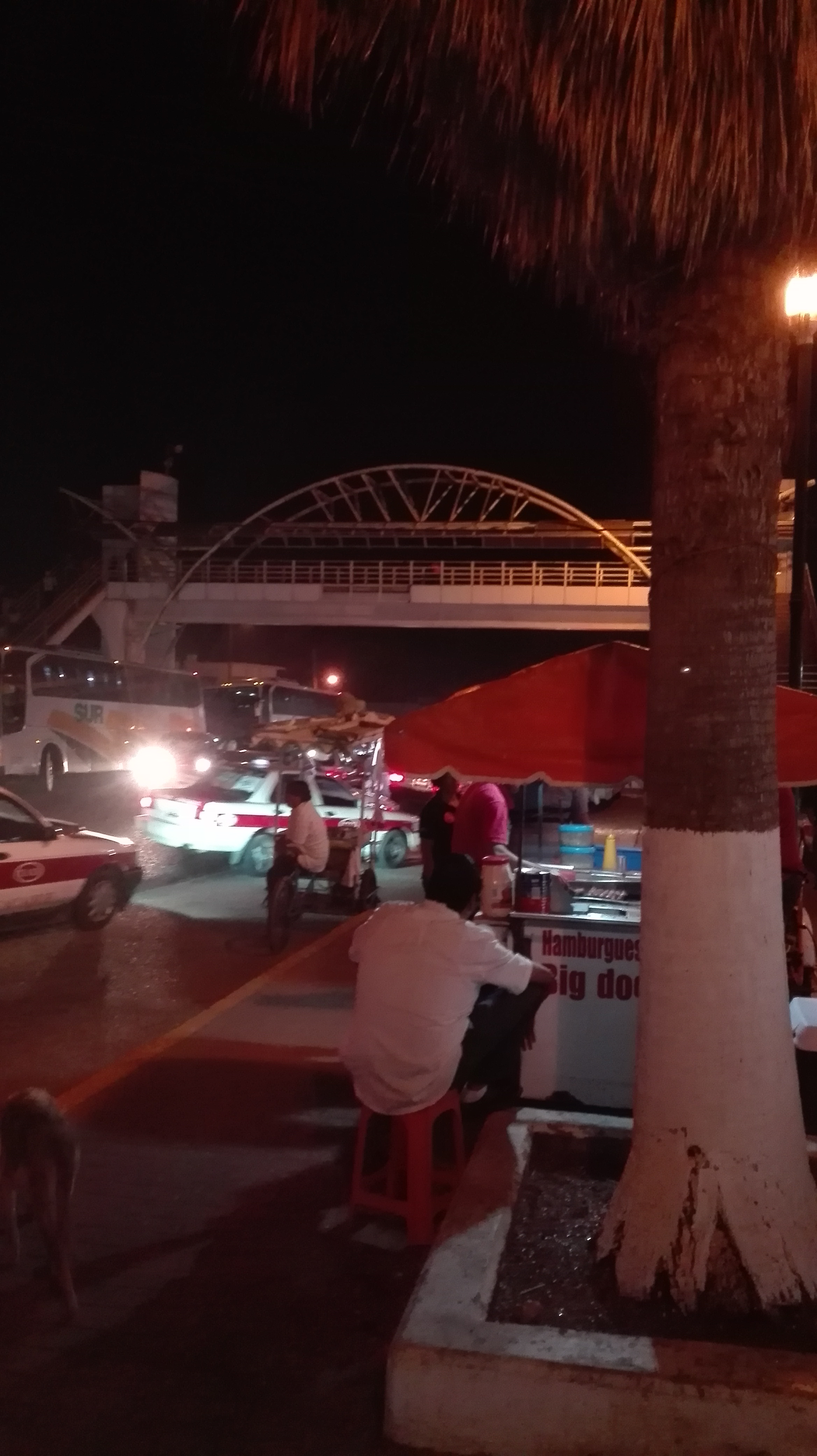 Big Dog's "El Güero" image 10