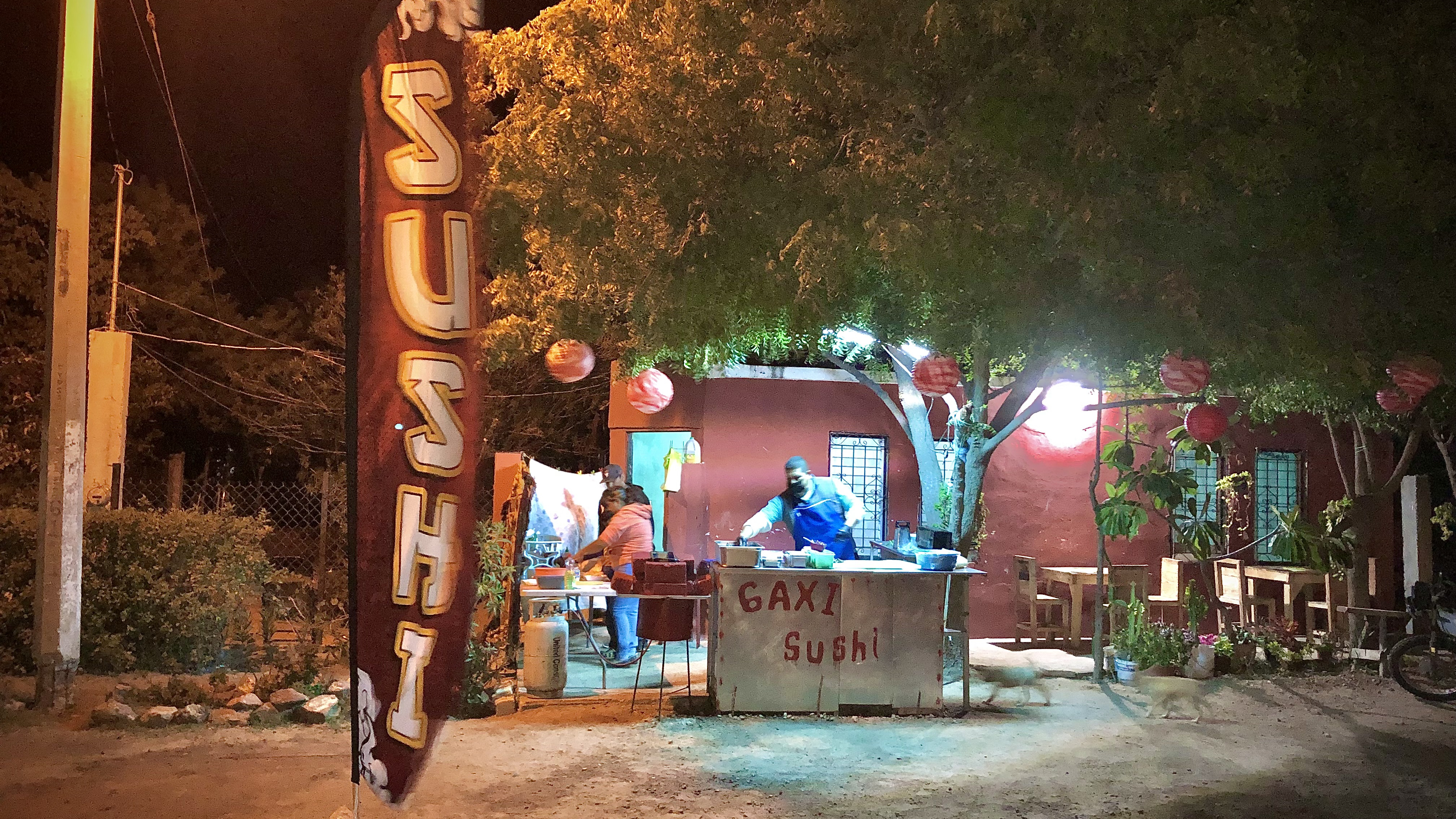 GAXI - SUSHI image 3